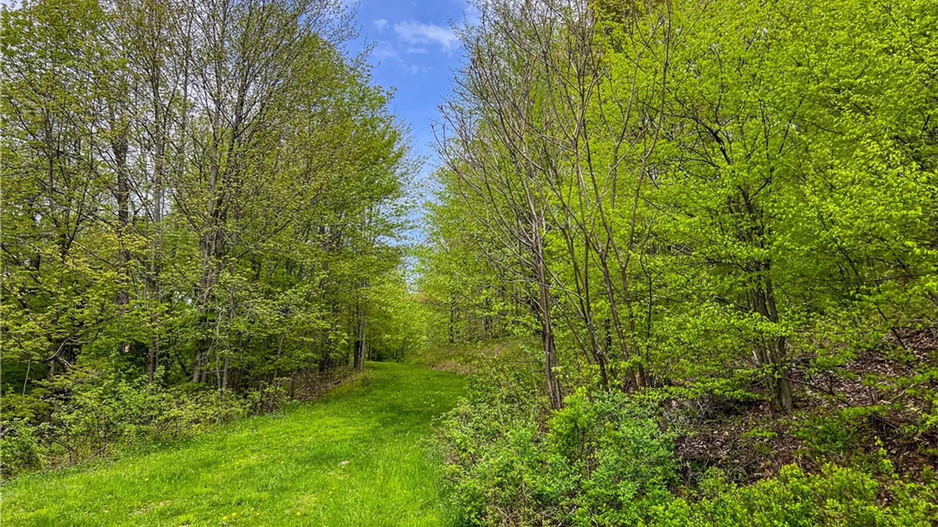 Property at Lot # 10 State Route 28, Andes, NY 13731 26