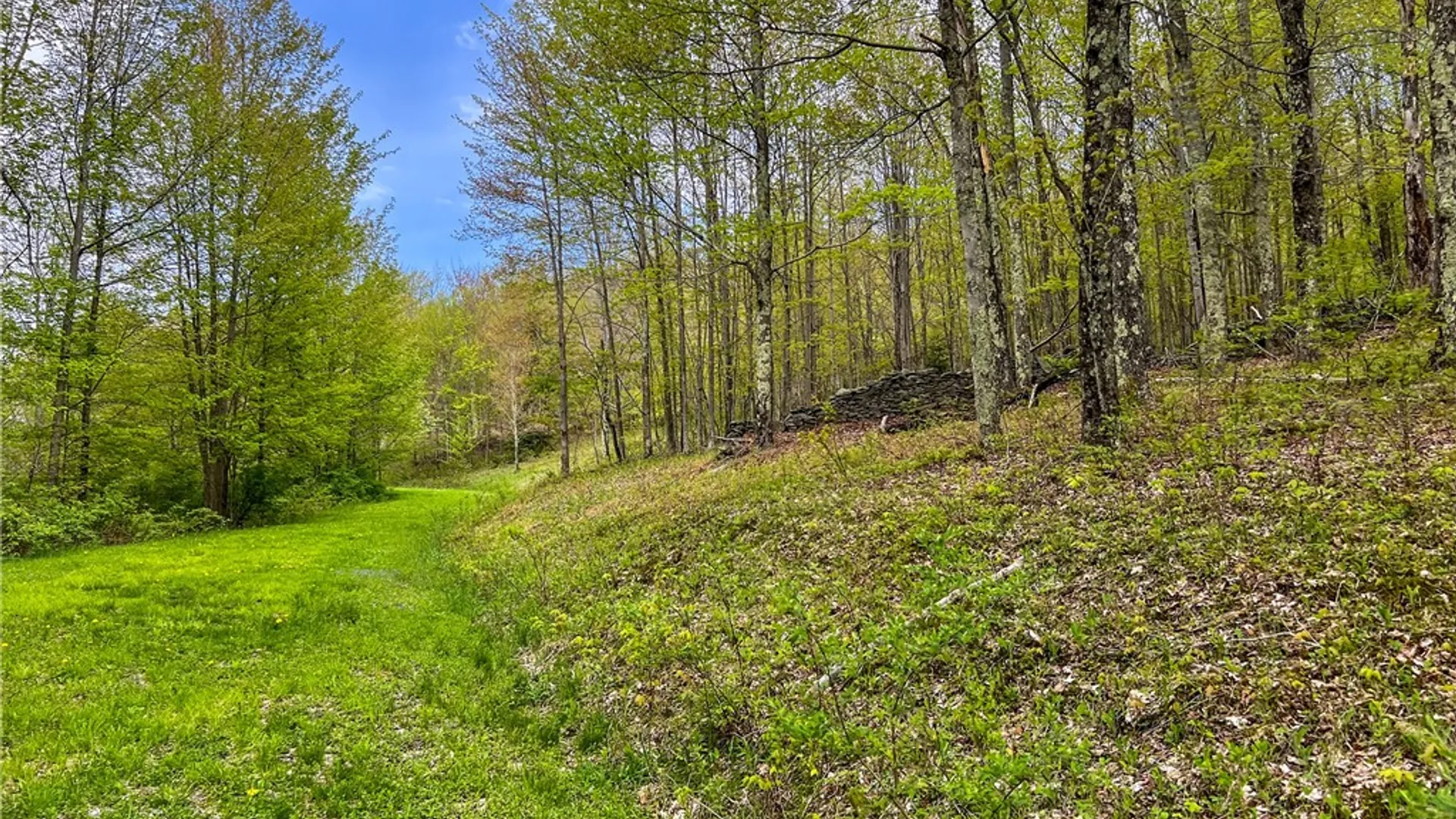 Property at Lot # 10 State Route 28, Andes, NY 13731 27