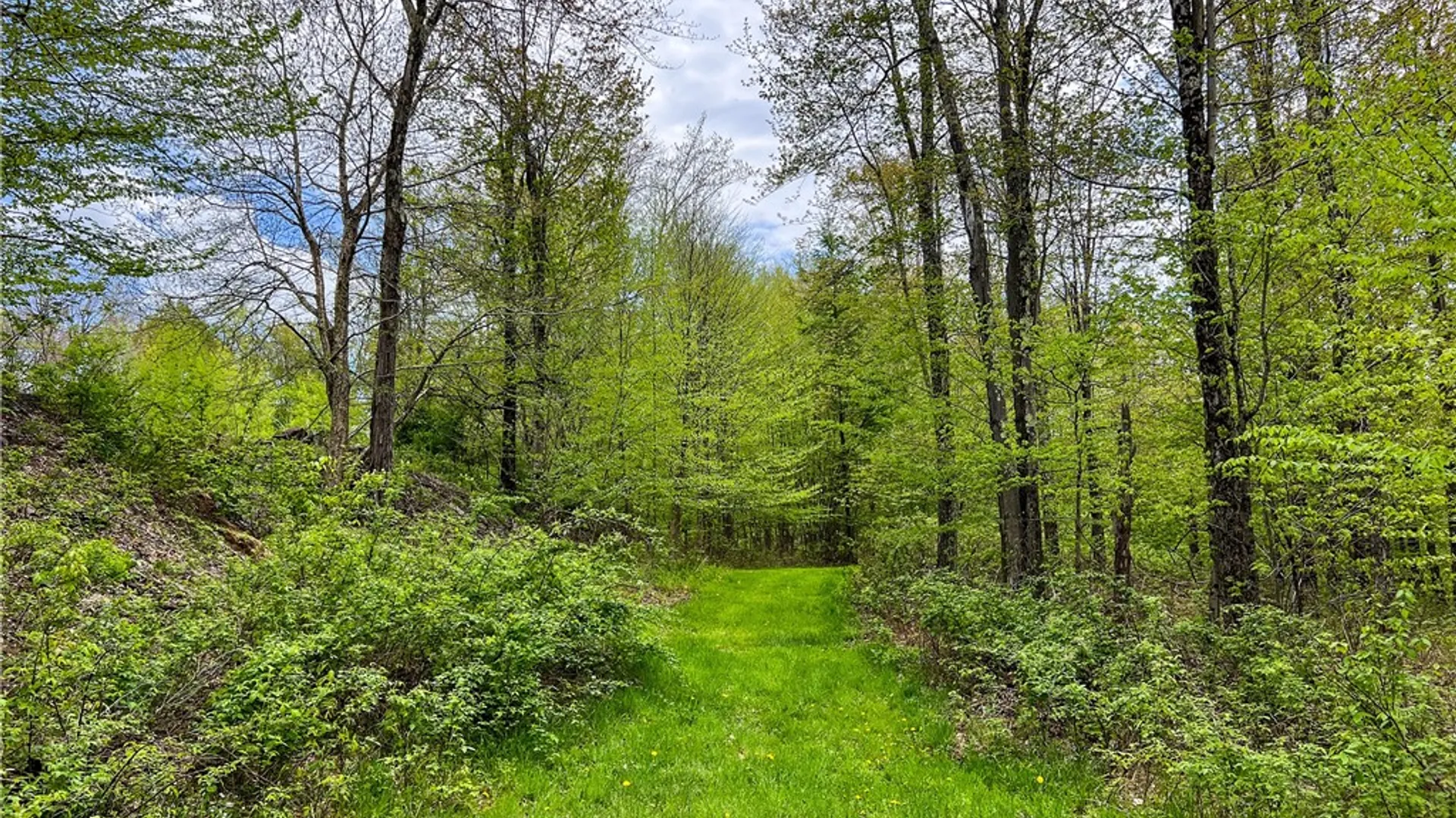 Property at Lot # 10 State Route 28, Andes, NY 13731 28