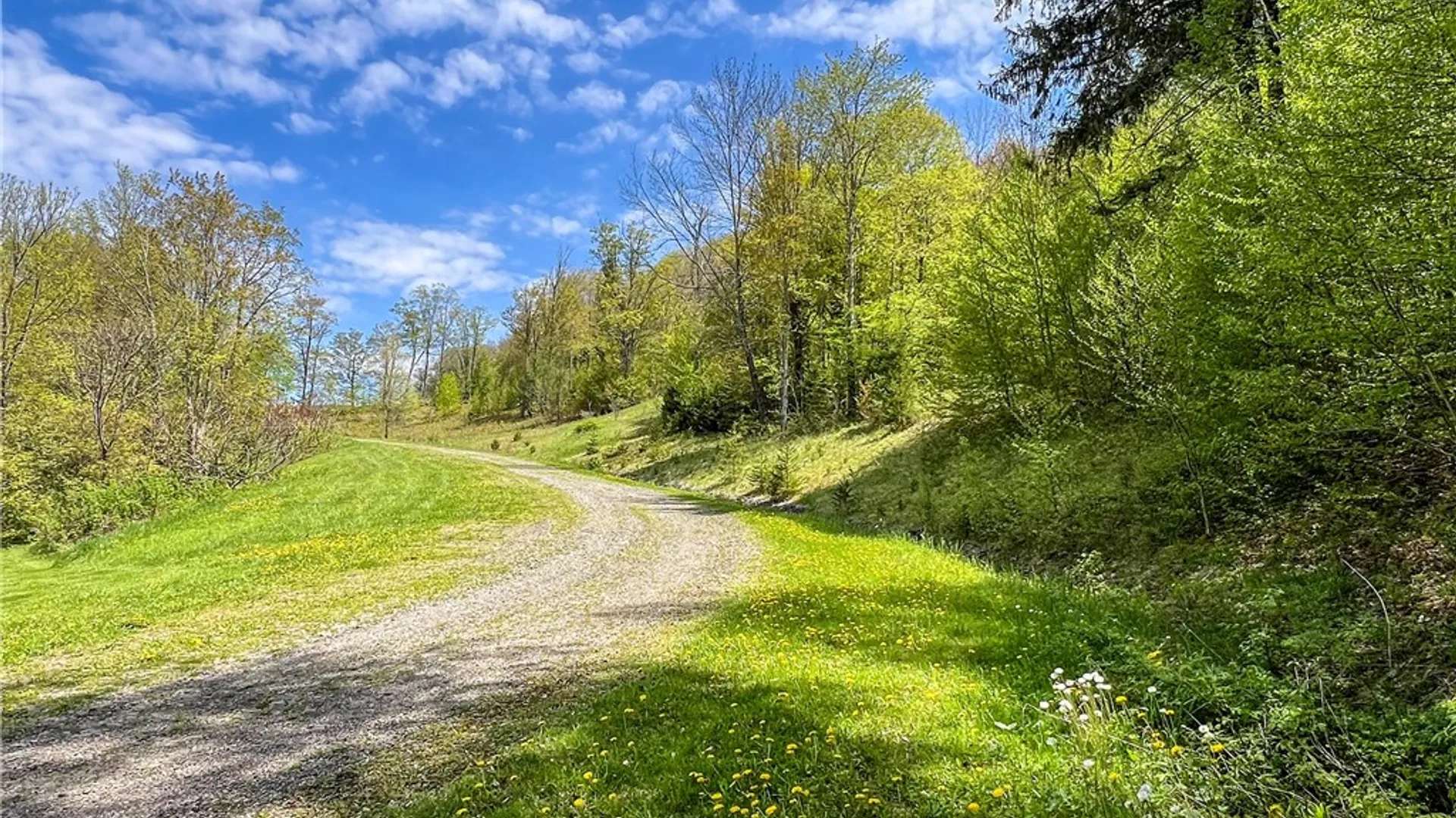 Property at Lot # 10 State Route 28, Andes, NY 13731 3