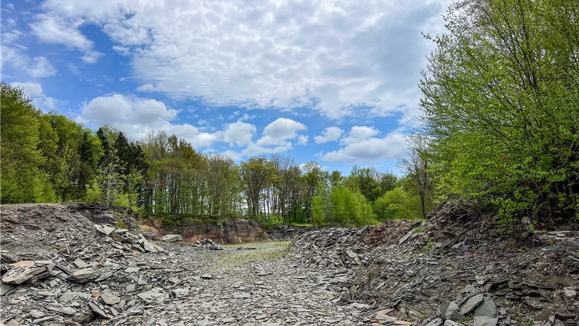 Property at Lot # 10 State Route 28, Andes, NY 13731 30