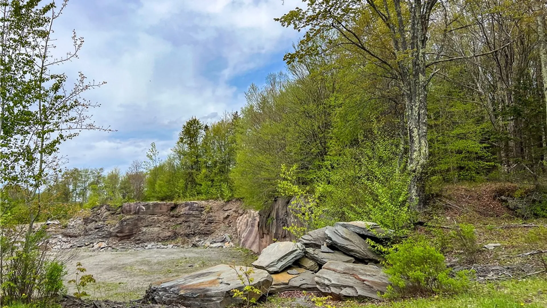 Property at Lot # 10 State Route 28, Andes, NY 13731 32