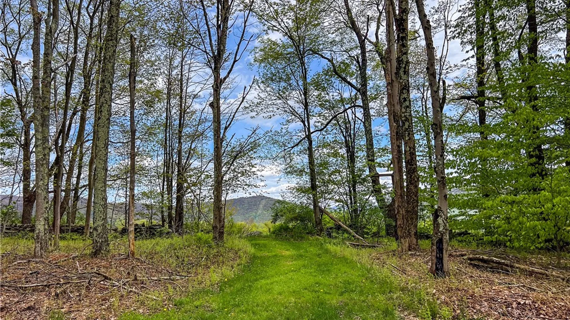 Property at Lot # 10 State Route 28, Andes, NY 13731 33