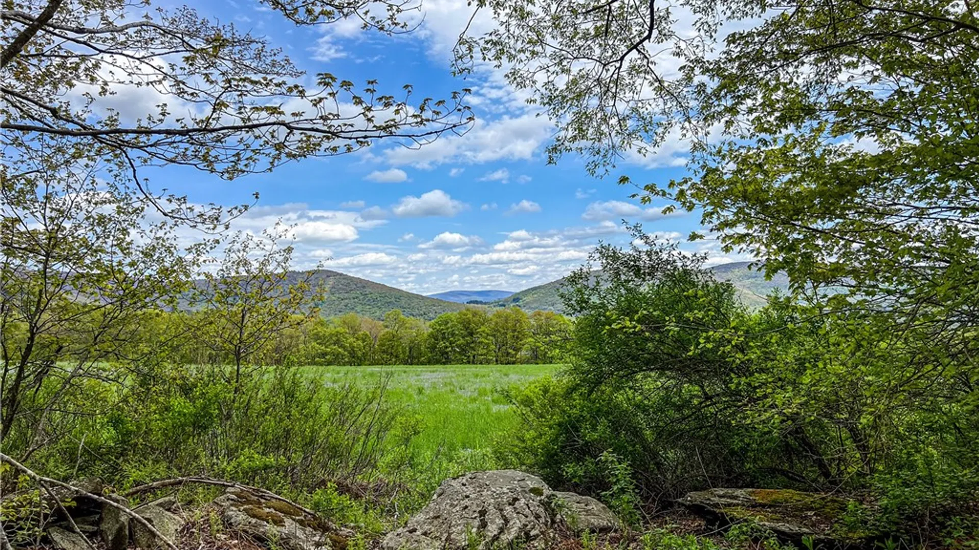 Property at Lot # 10 State Route 28, Andes, NY 13731 34