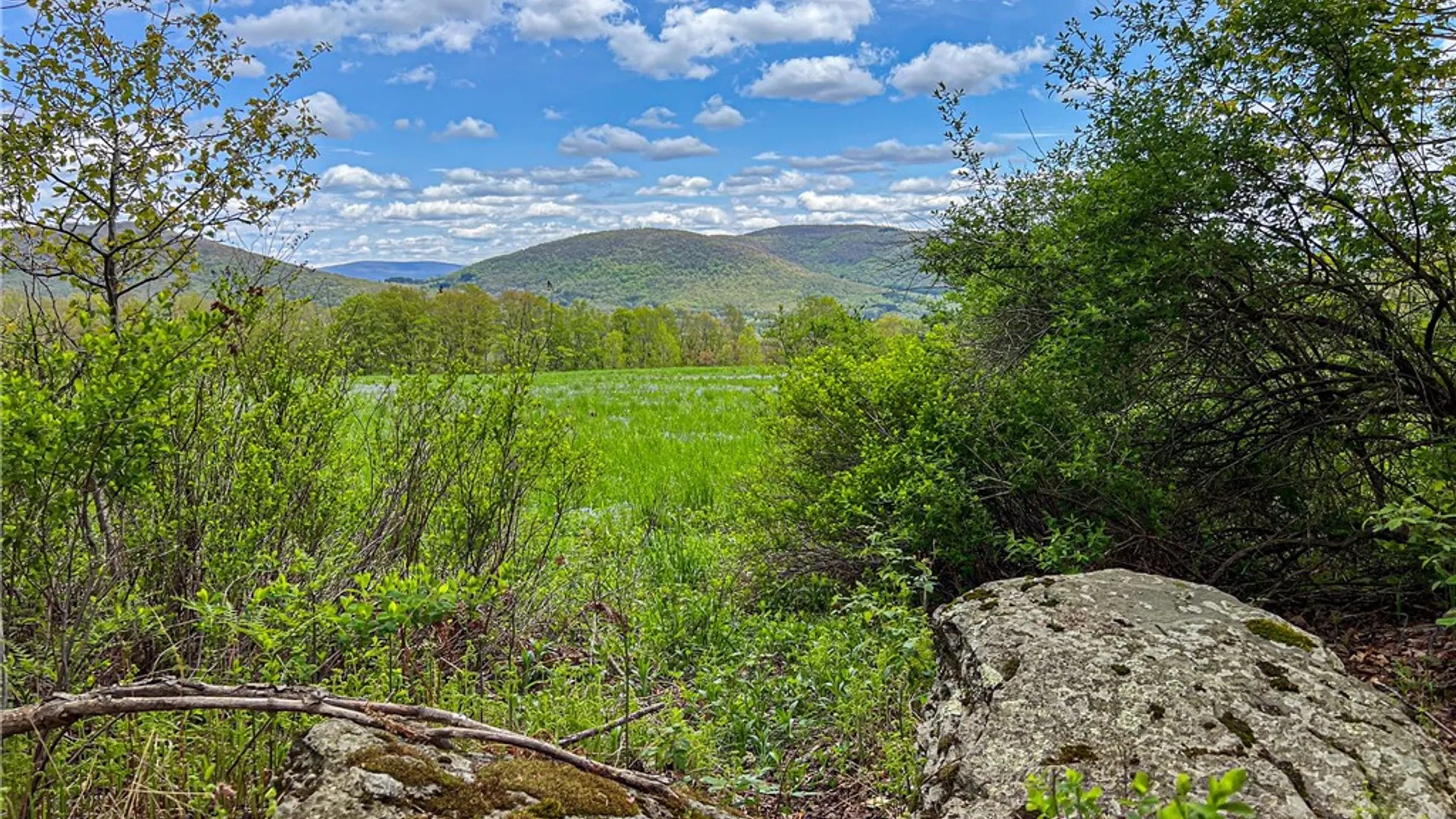 Property at Lot # 10 State Route 28, Andes, NY 13731 35