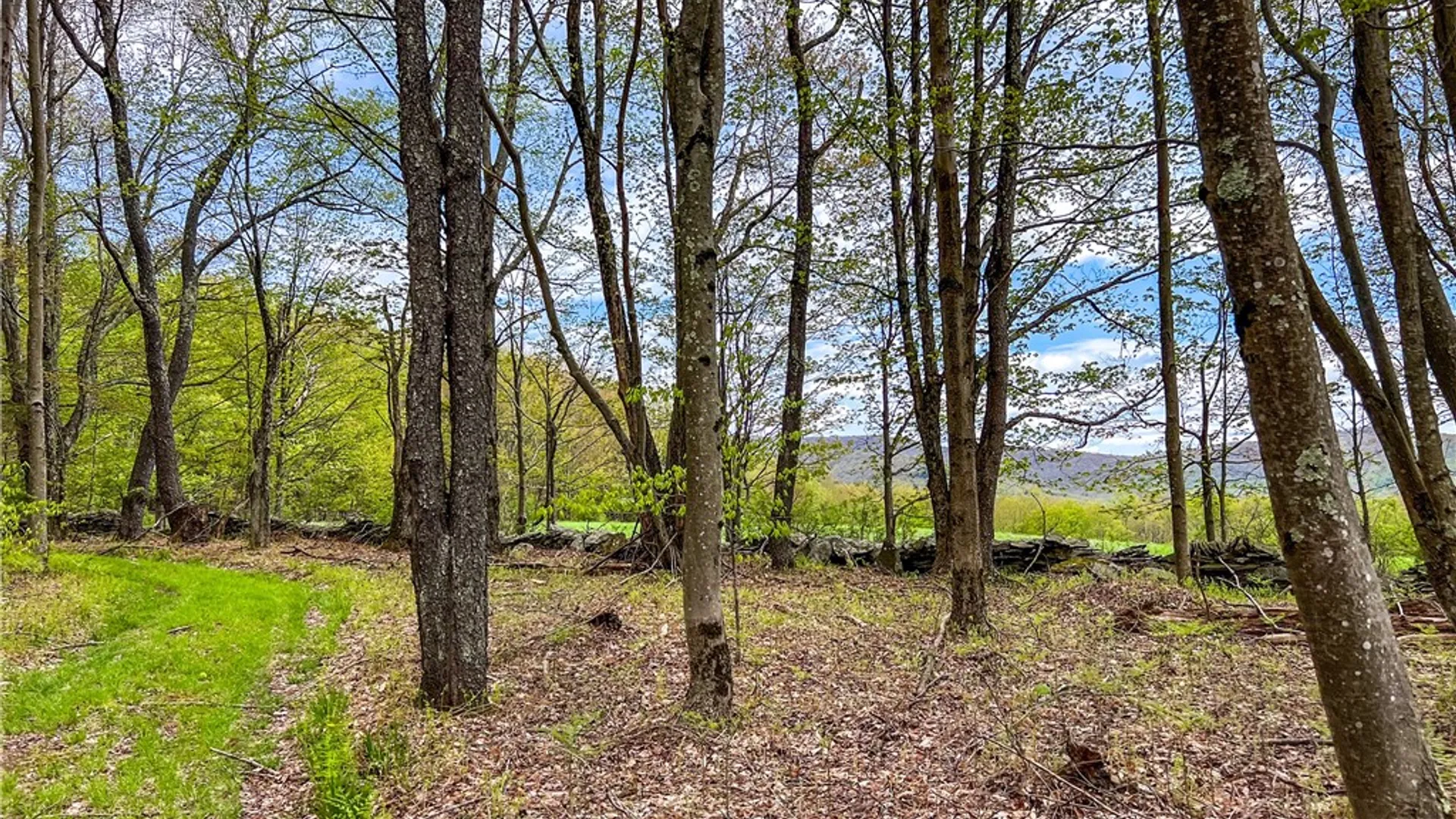 Property at Lot # 10 State Route 28, Andes, NY 13731 36