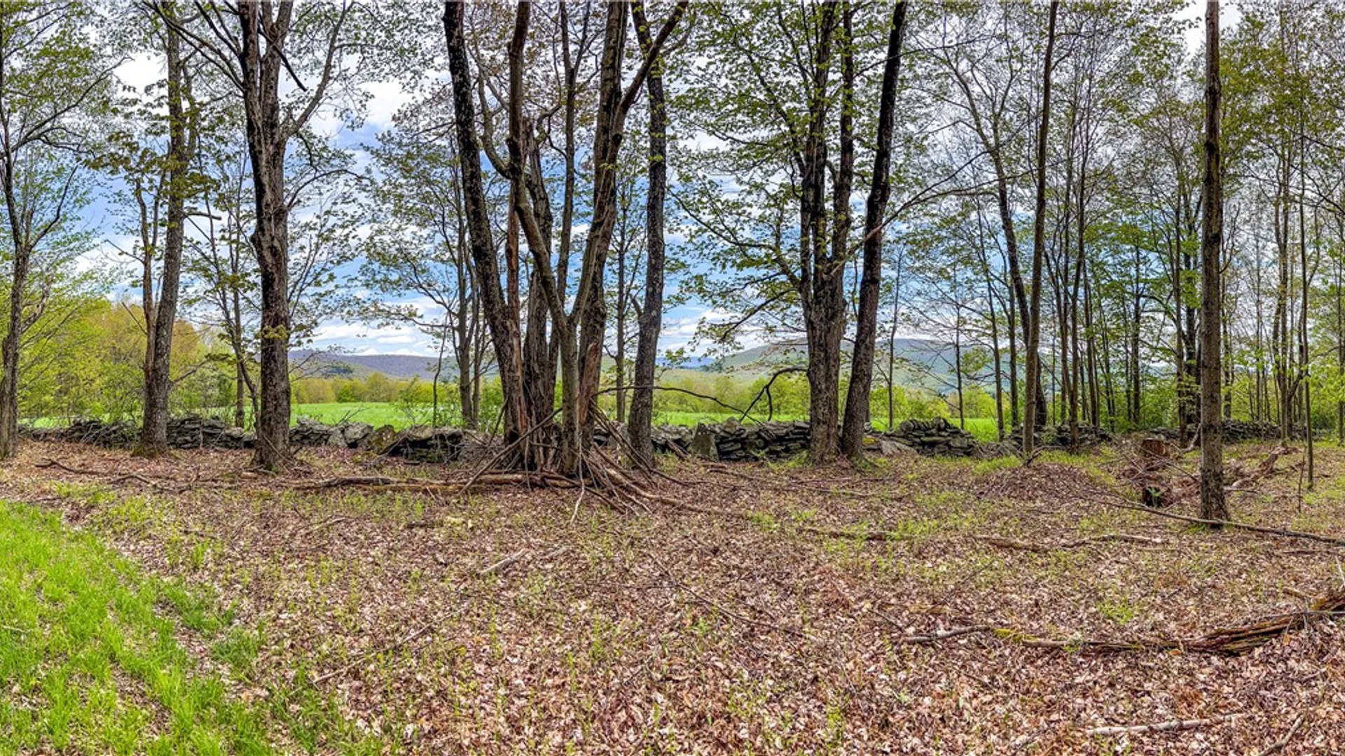 Property at Lot # 10 State Route 28, Andes, NY 13731 37