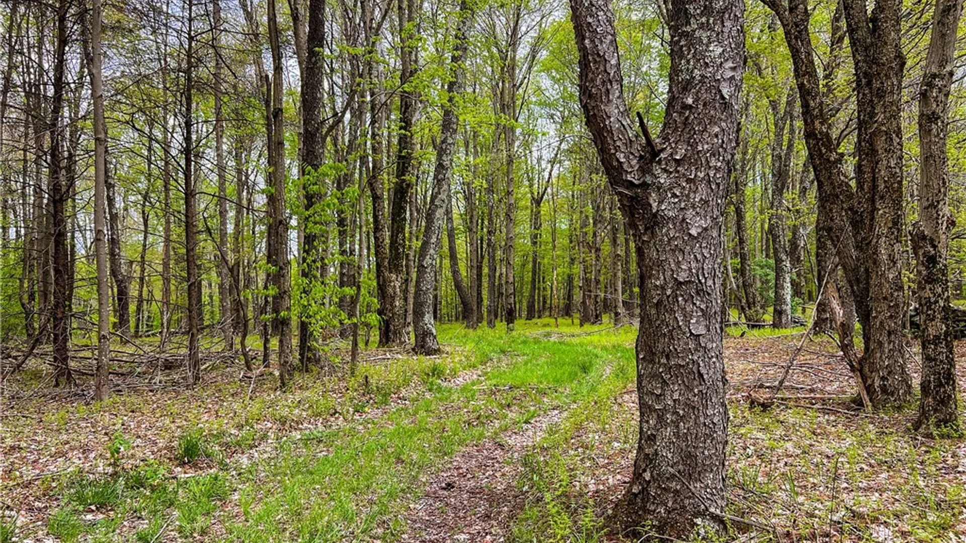 Property at Lot # 10 State Route 28, Andes, NY 13731 39