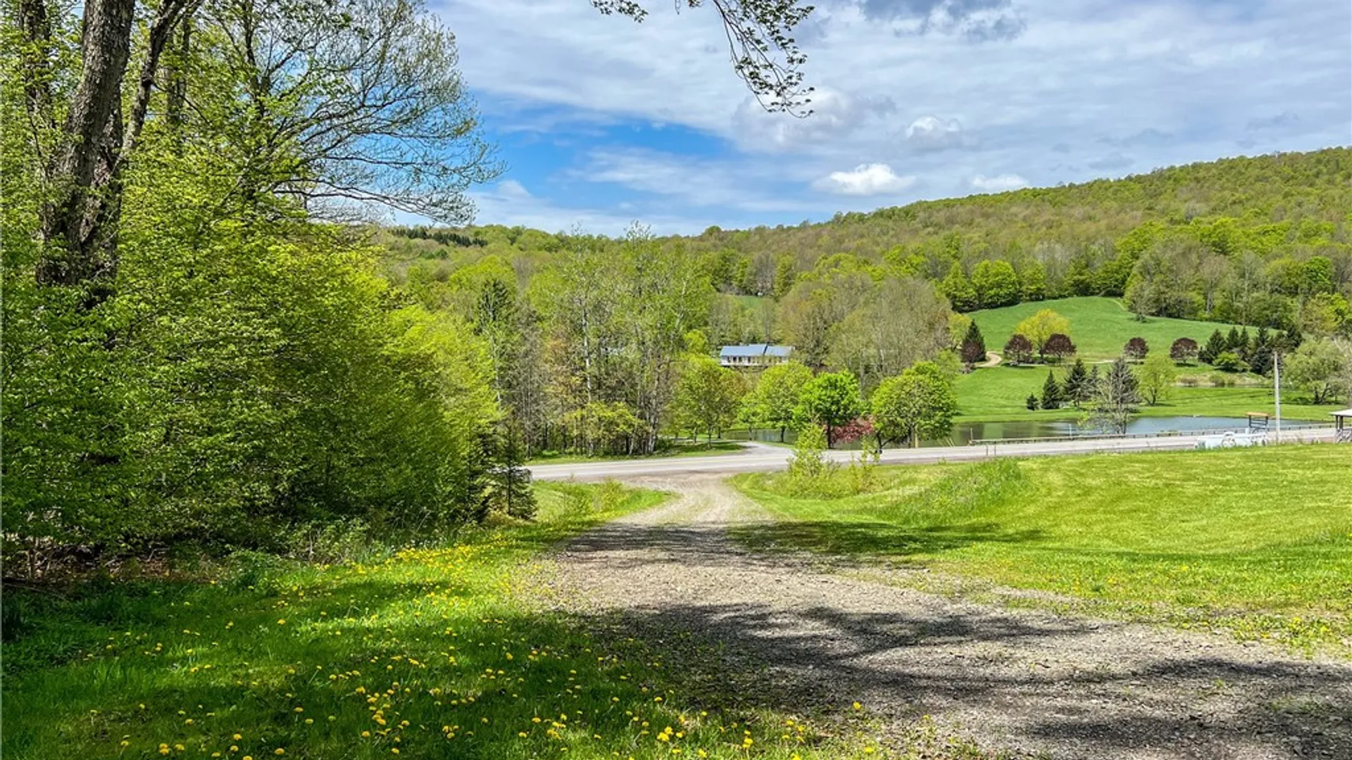Property at Lot # 10 State Route 28, Andes, NY 13731 4