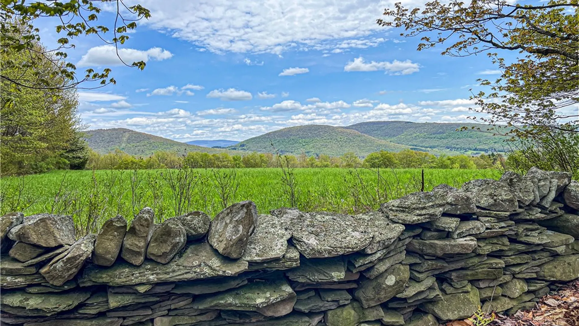 Property at Lot # 10 State Route 28, Andes, NY 13731 40