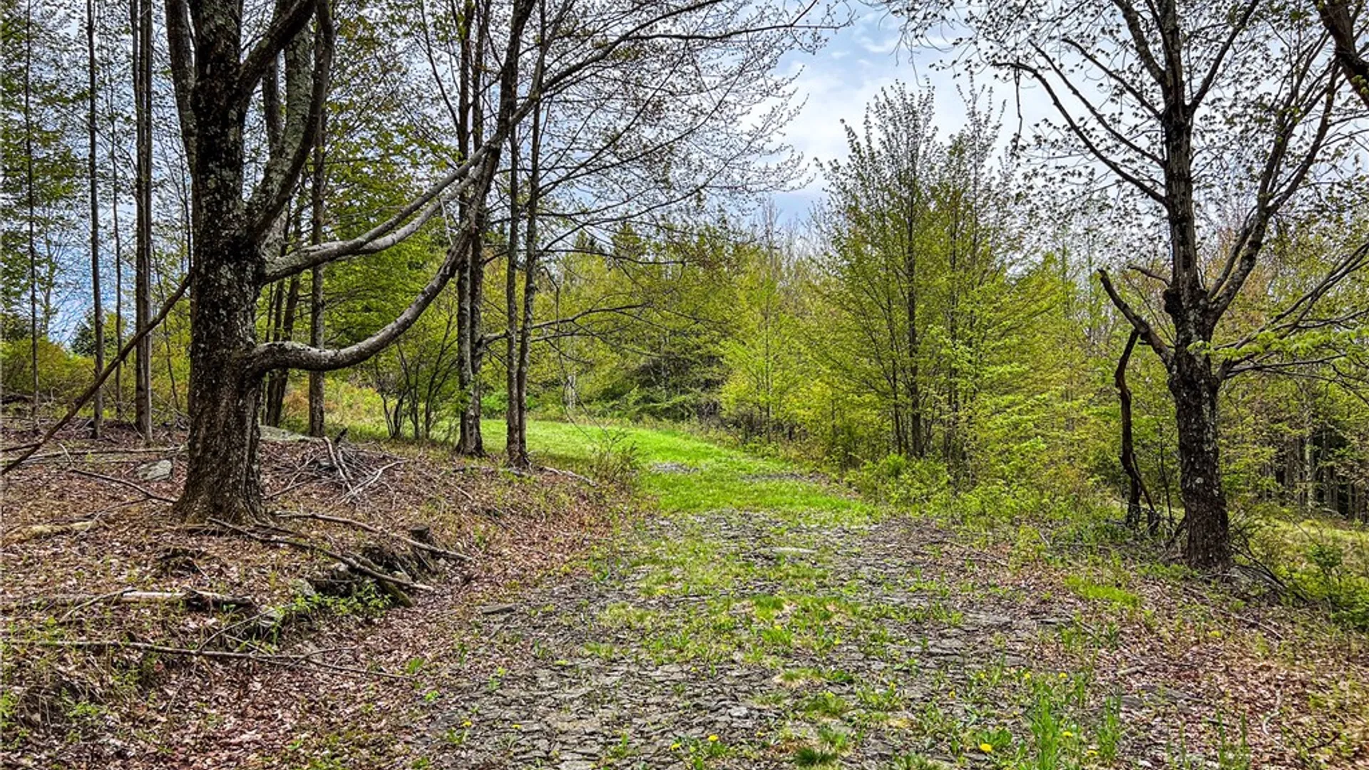 Property at Lot # 10 State Route 28, Andes, NY 13731 41