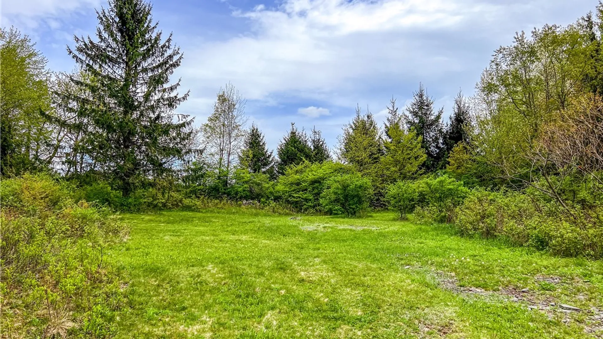 Property at Lot # 10 State Route 28, Andes, NY 13731 43