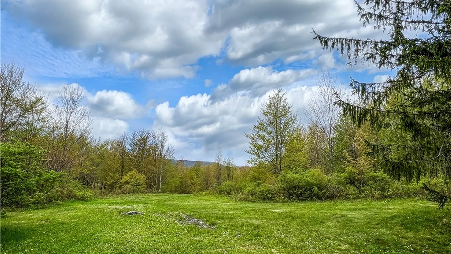 Property at Lot # 10 State Route 28, Andes, NY 13731 44