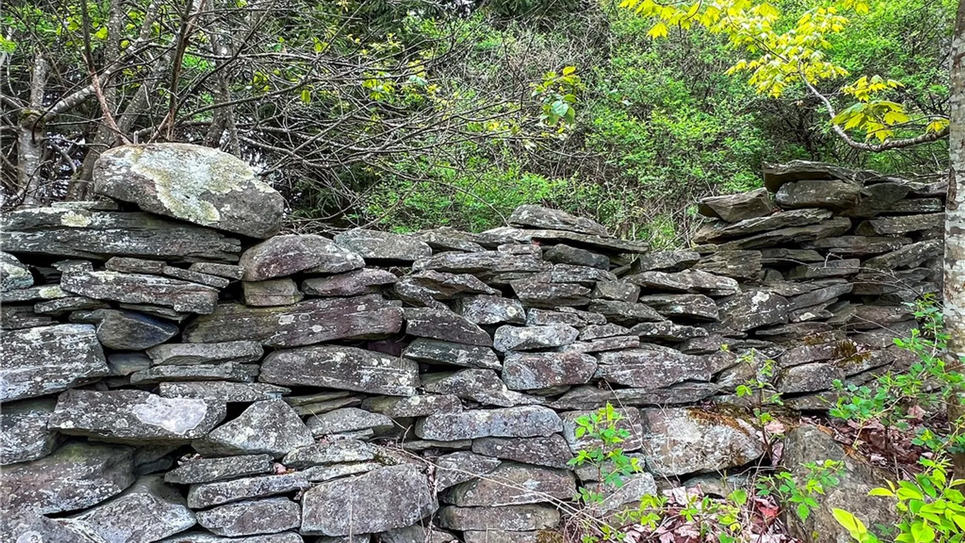 Property at Lot # 10 State Route 28, Andes, NY 13731 45