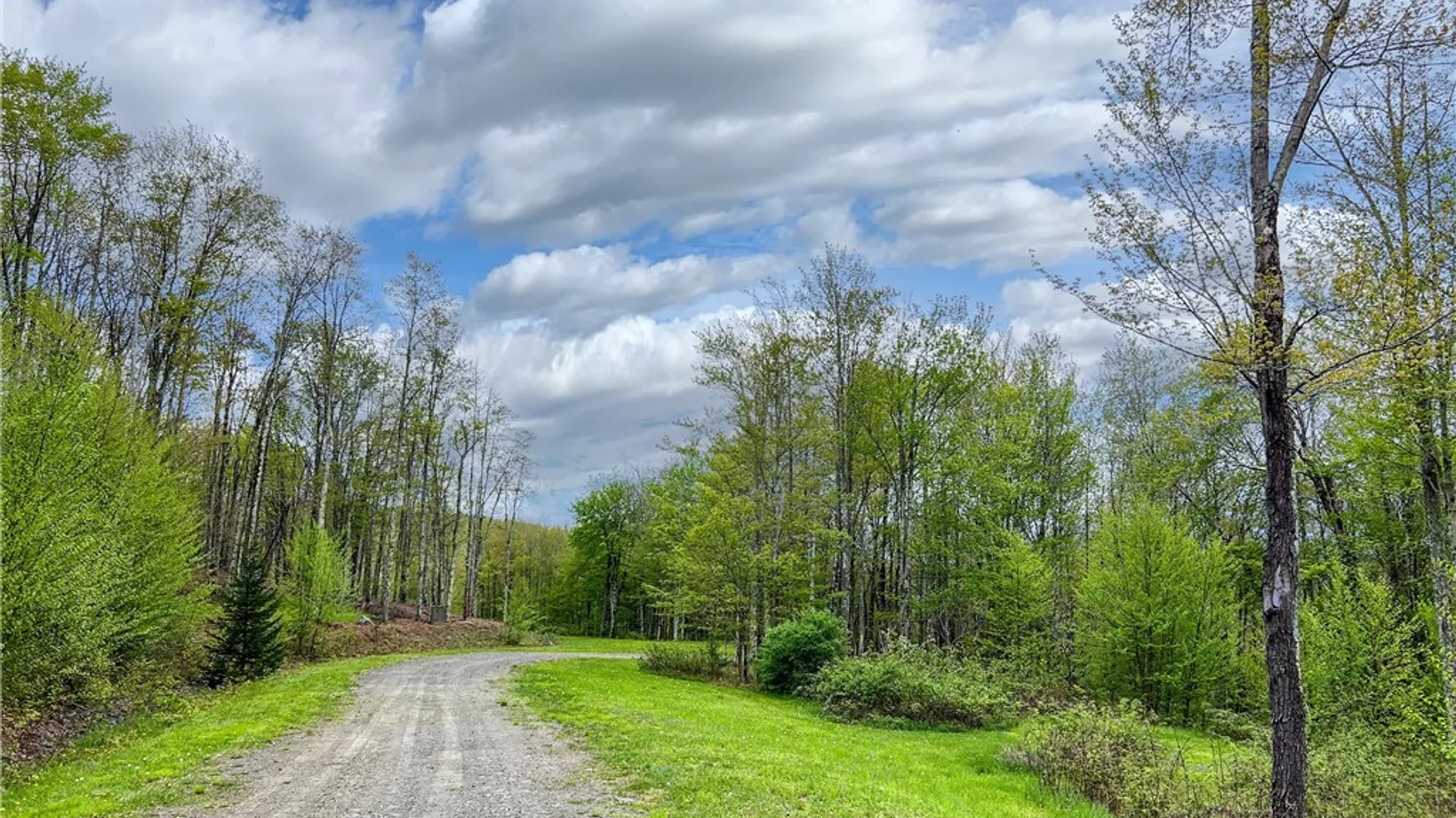 Property at Lot # 10 State Route 28, Andes, NY 13731 46