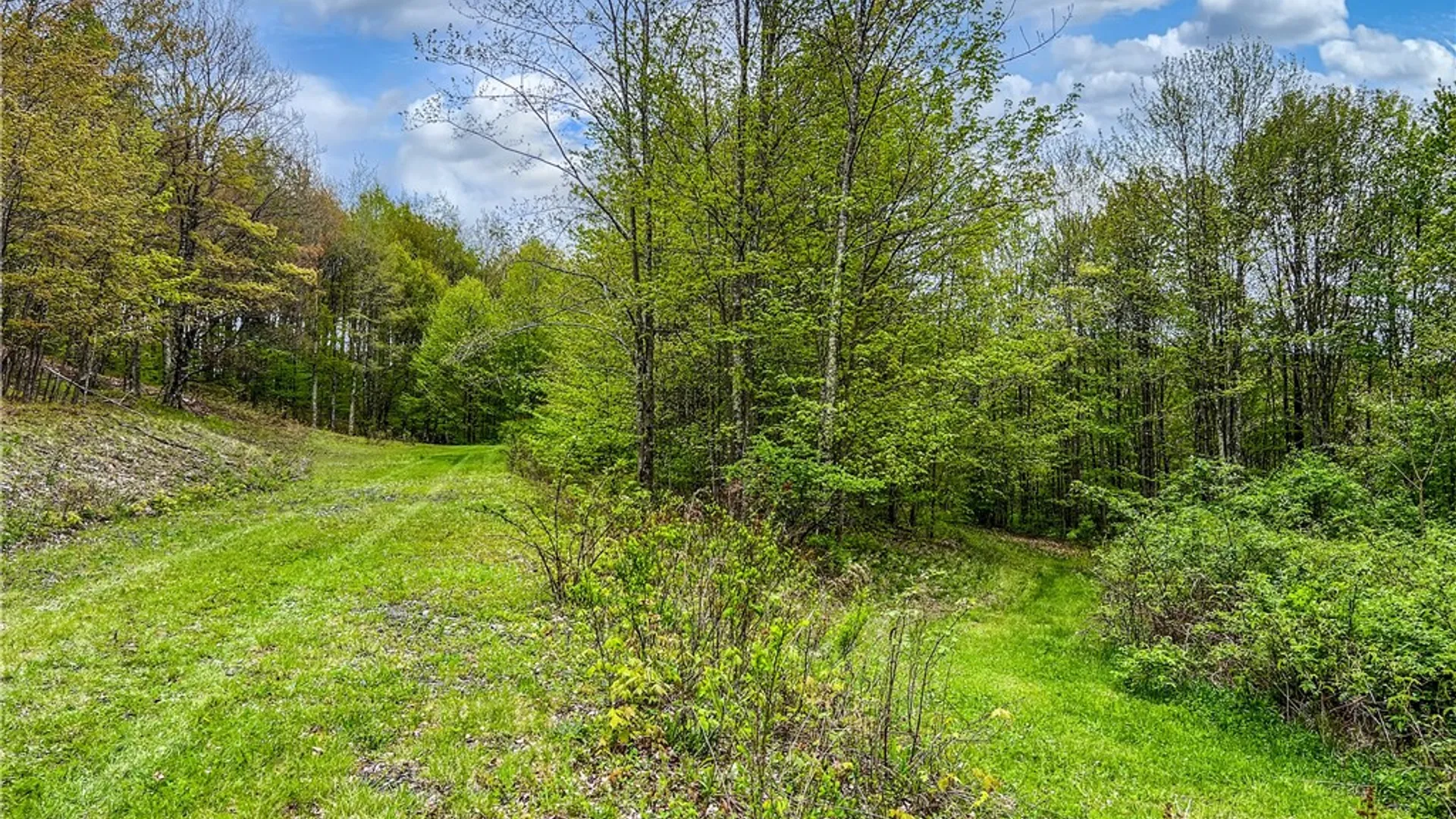 Property at Lot # 10 State Route 28, Andes, NY 13731 47
