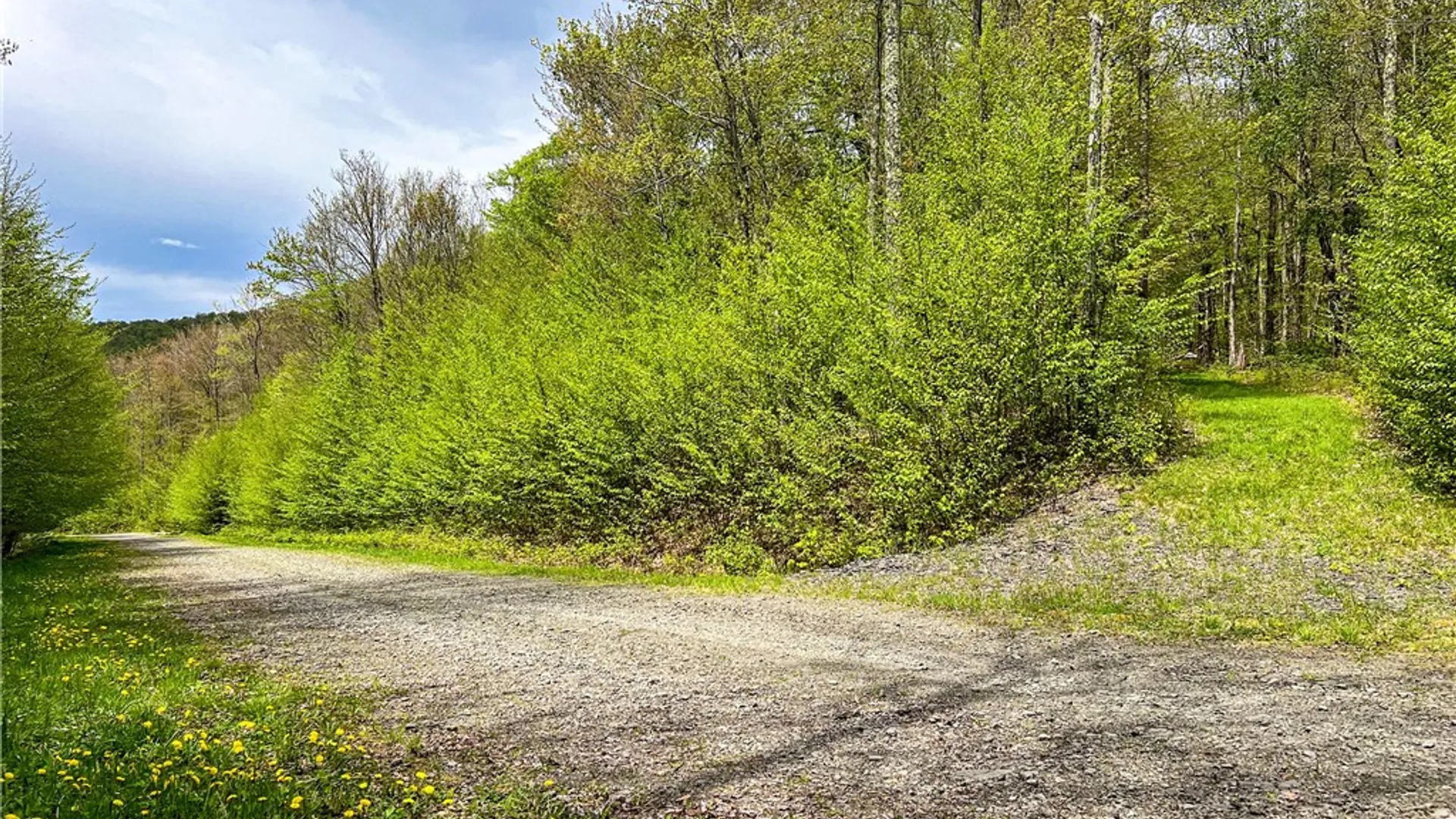 Property at Lot # 10 State Route 28, Andes, NY 13731 48