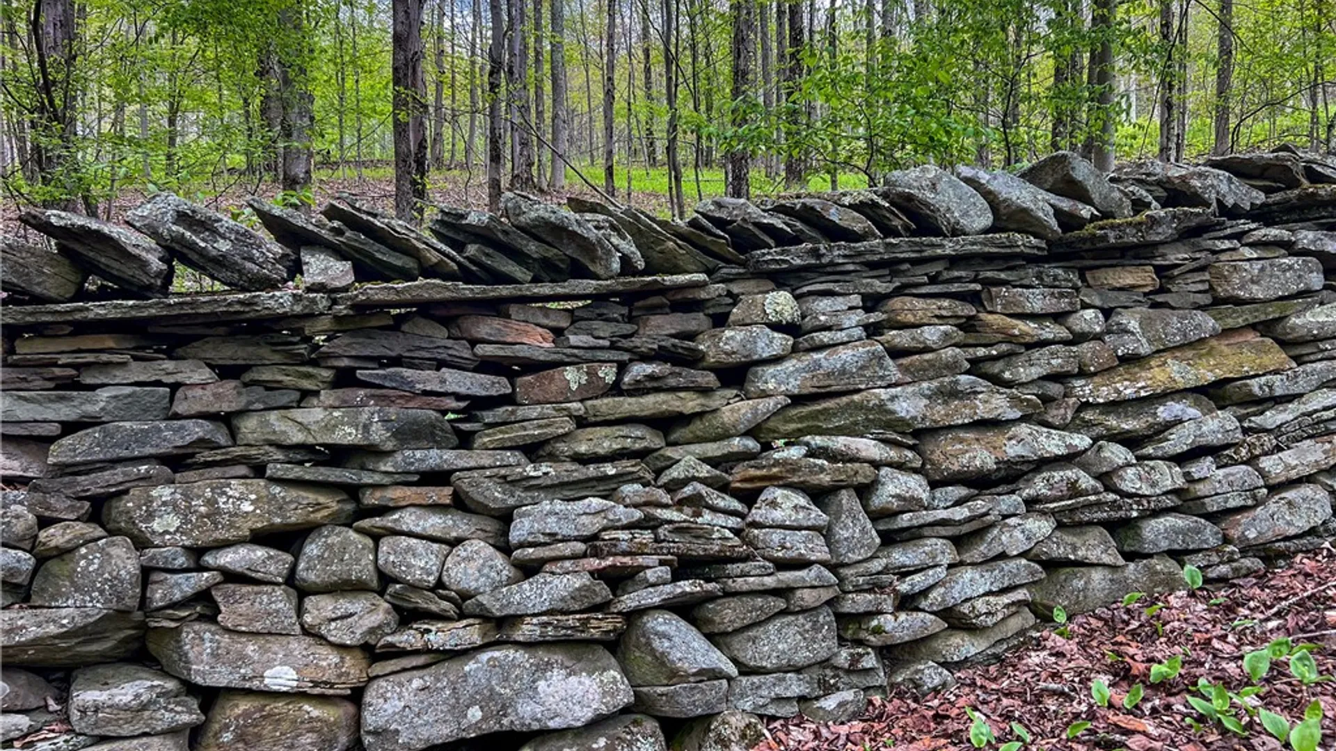 Property at Lot # 10 State Route 28, Andes, NY 13731 49