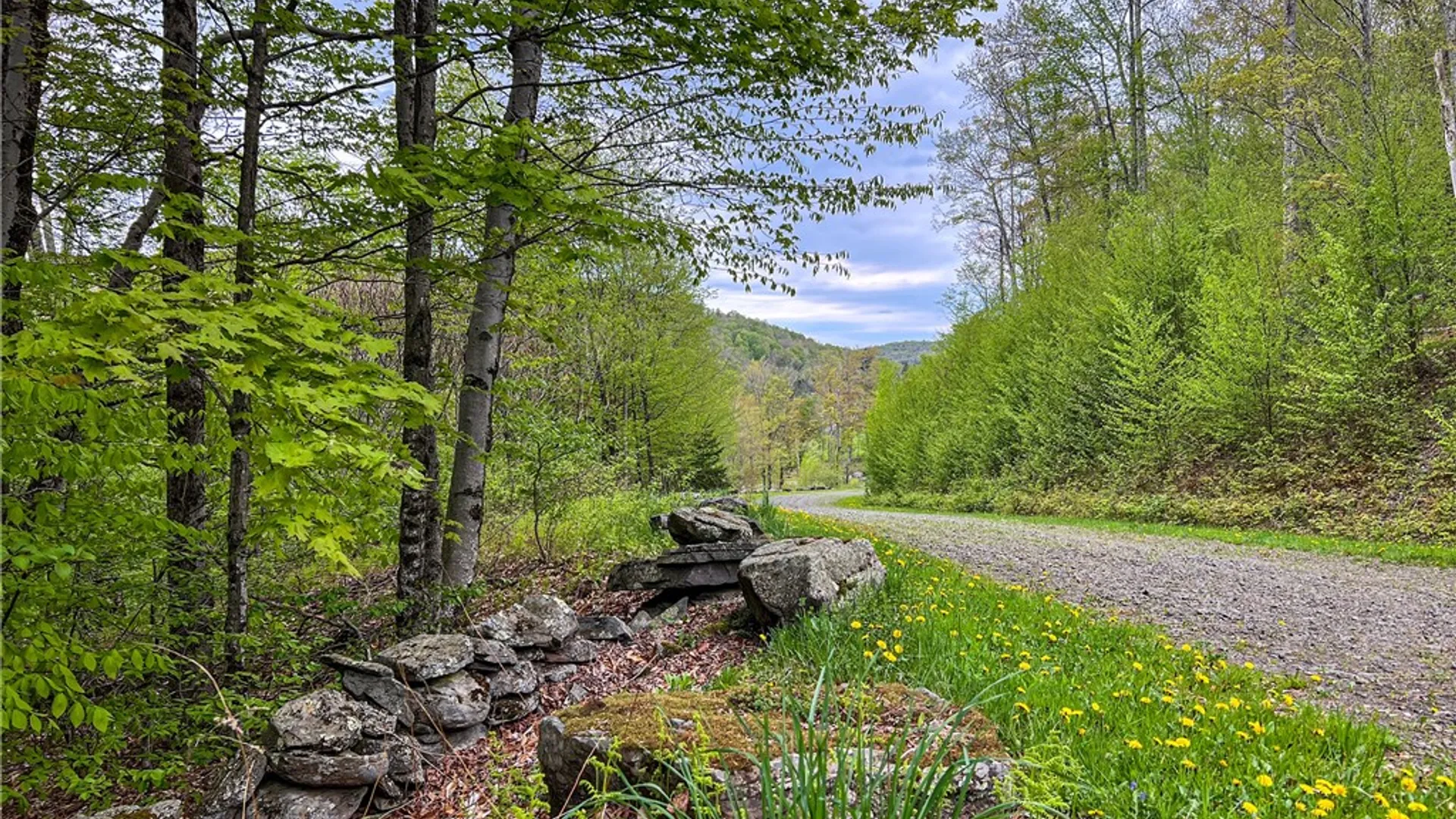 Property at Lot # 10 State Route 28, Andes, NY 13731 50
