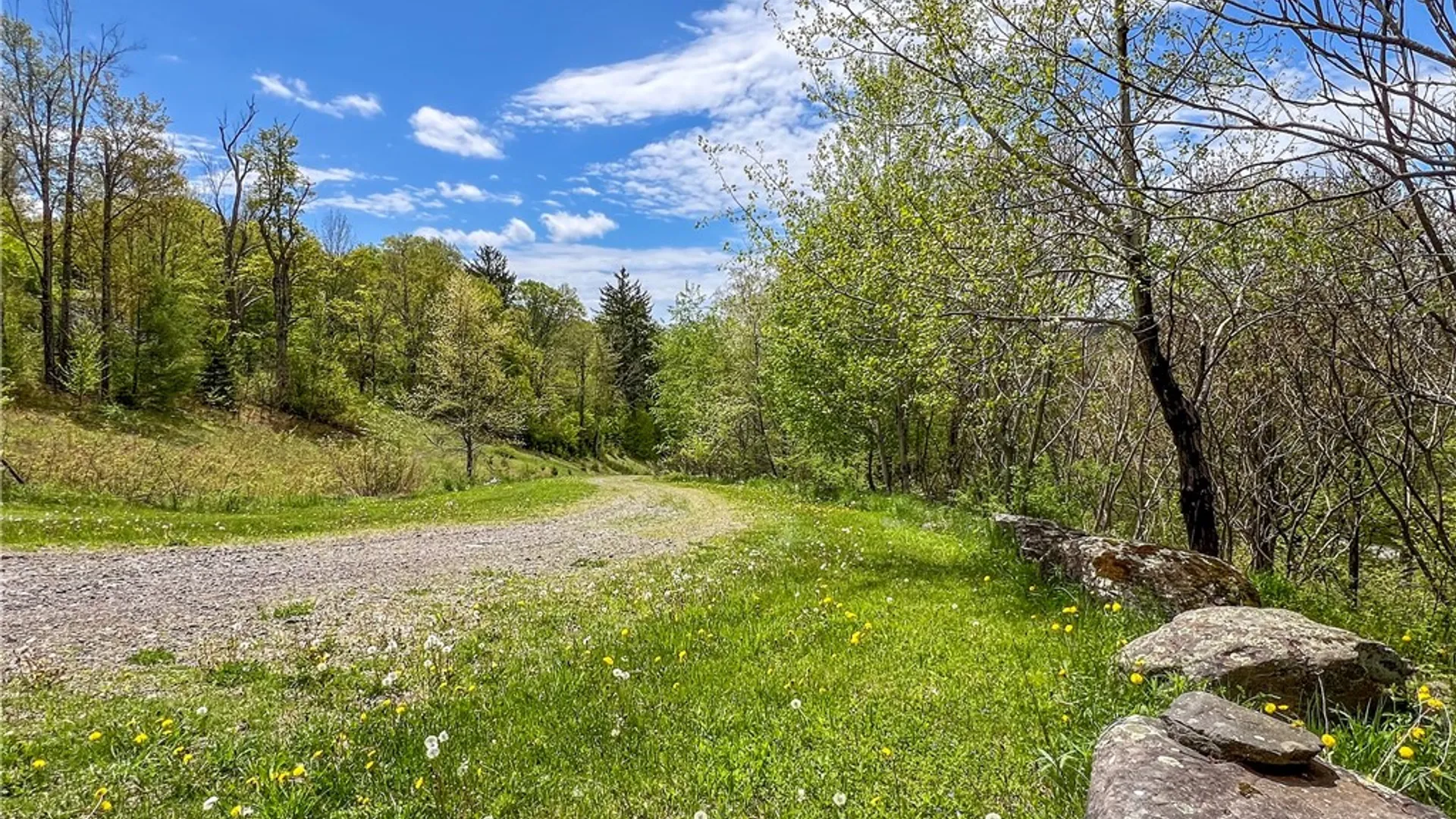 Property at Lot # 10 State Route 28, Andes, NY 13731 6