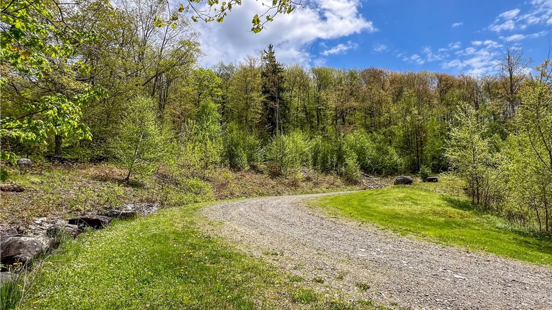 Property at Lot # 10 State Route 28, Andes, NY 13731 7