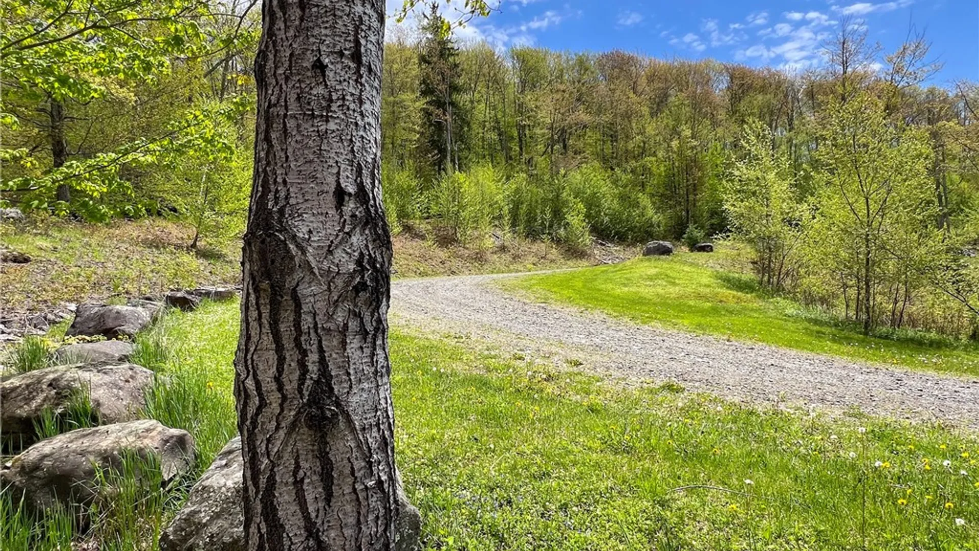 Property at Lot # 10 State Route 28, Andes, NY 13731 8