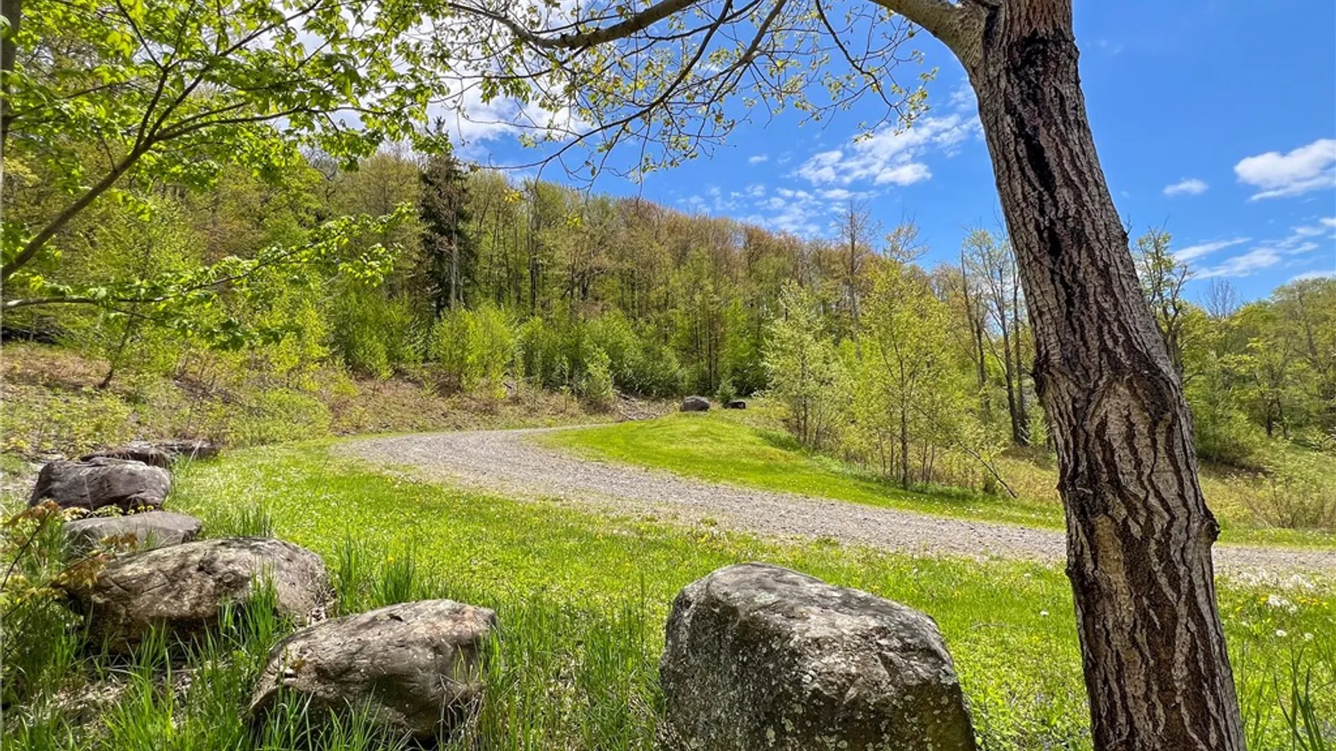 Property at Lot # 10 State Route 28, Andes, NY 13731 9