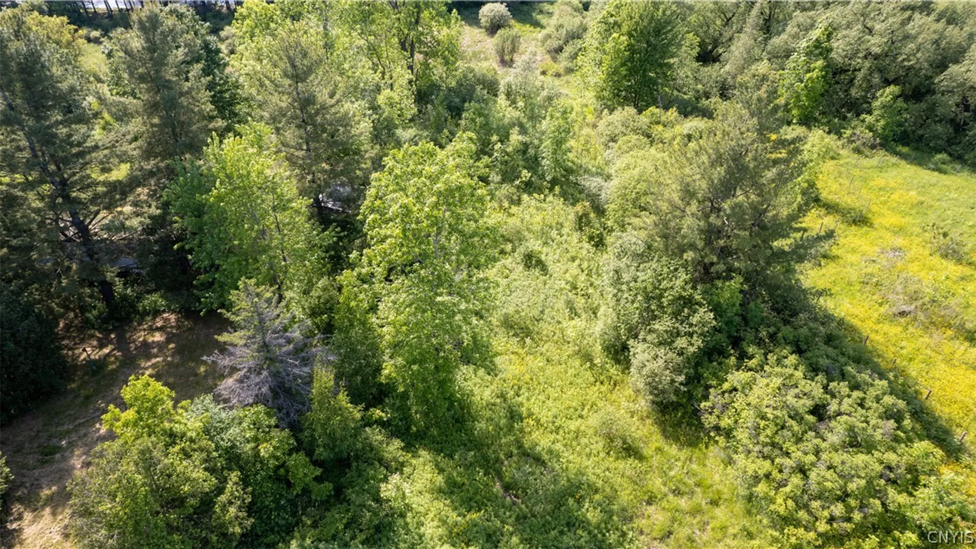 Property at 33583 Broadwell Road, Theresa, NY 13691 13