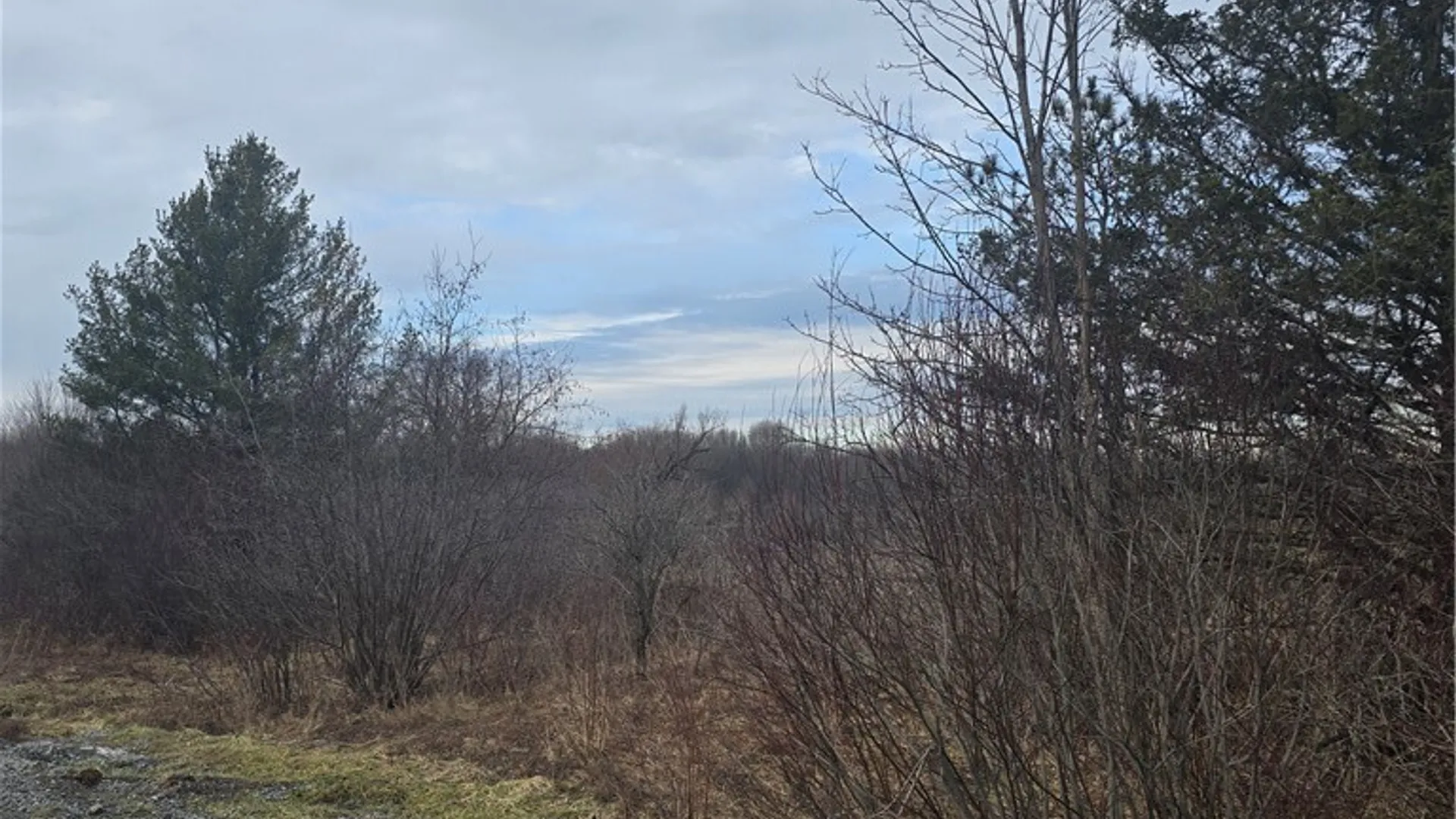 Property at 33583 Broadwell Road, Theresa, NY 13691 14