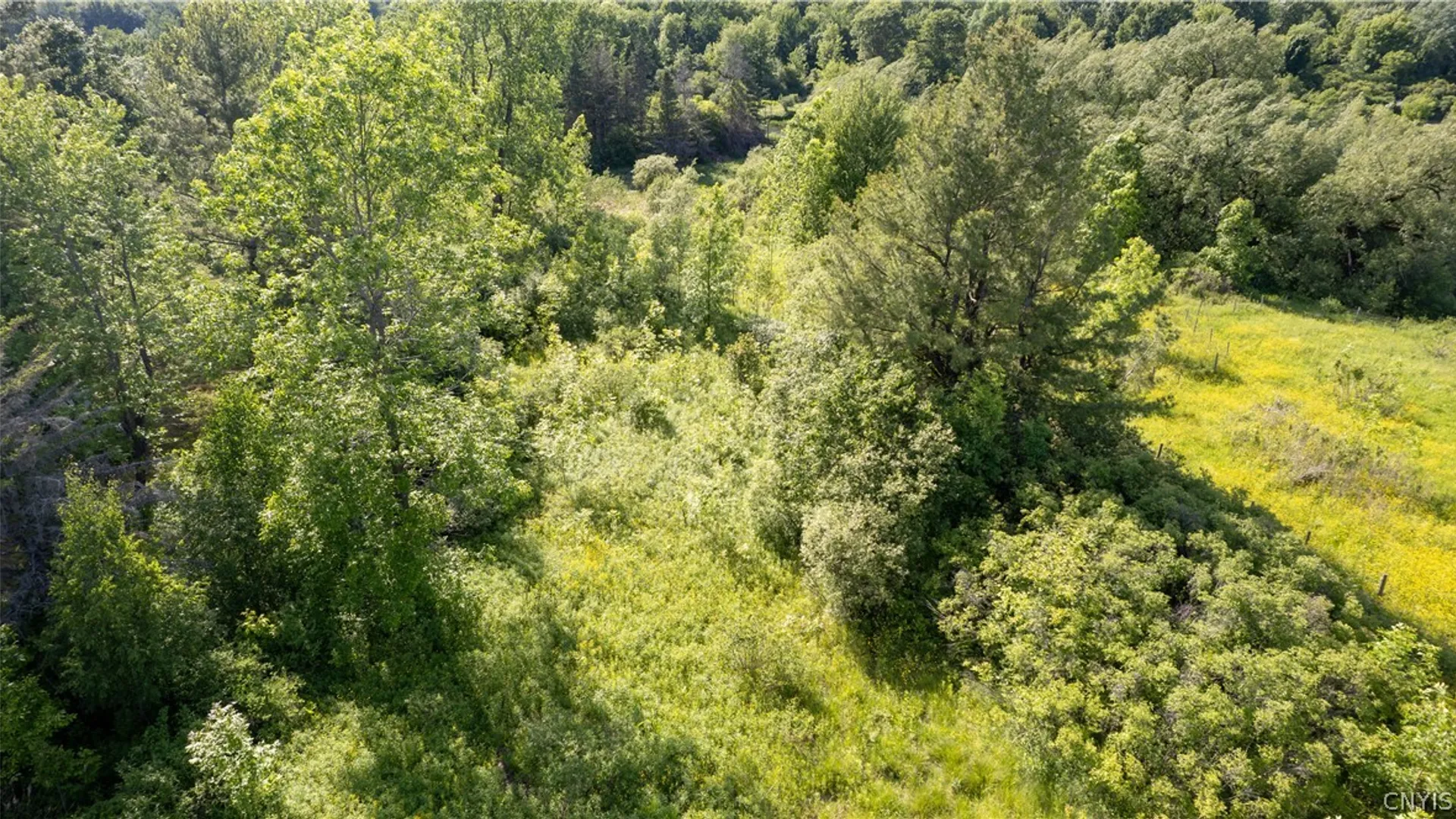 Property at 33583 Broadwell Road, Theresa, NY 13691 5