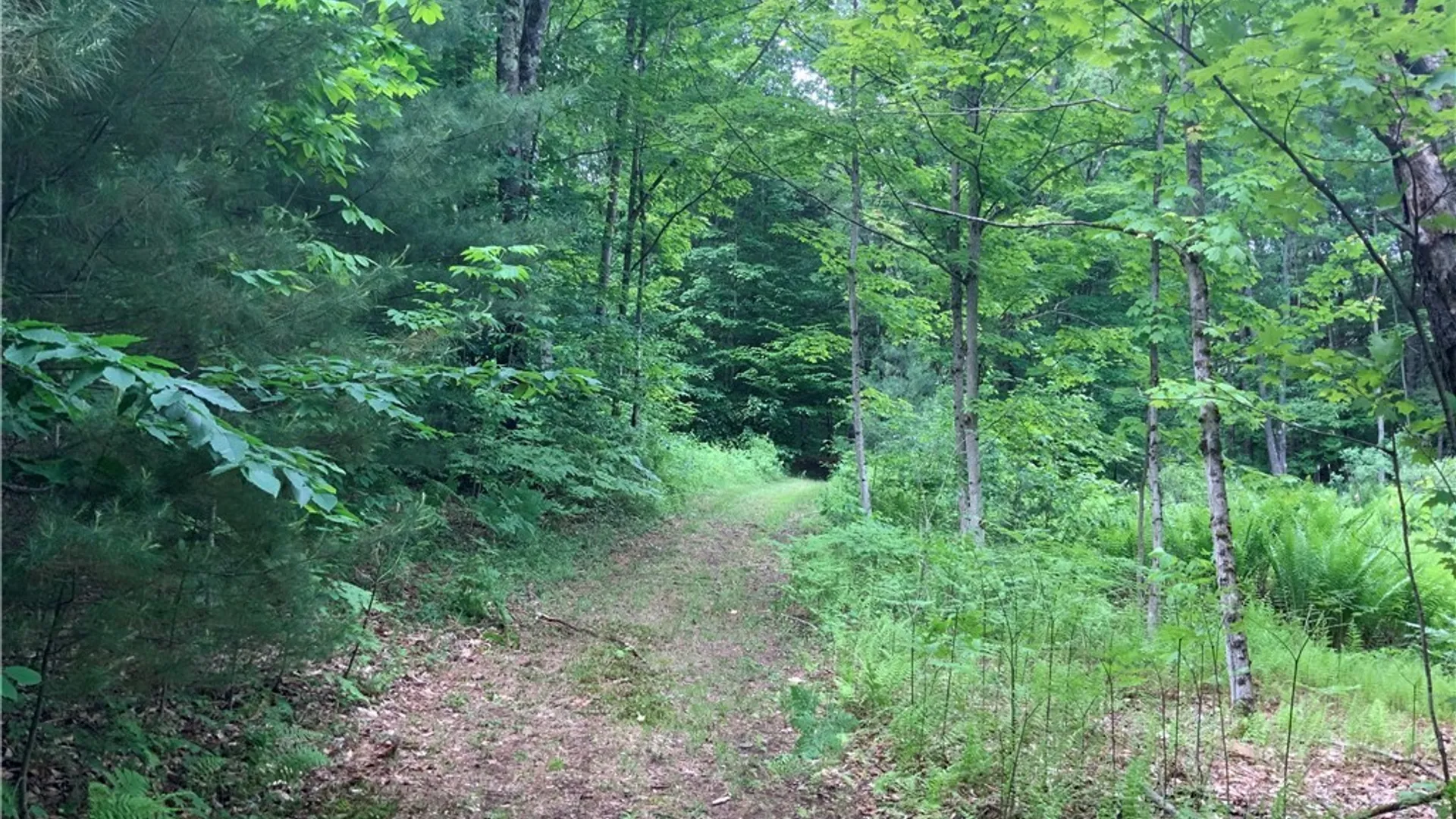 Property at 00 Hillsboro Road, Camden, NY 13316 26
