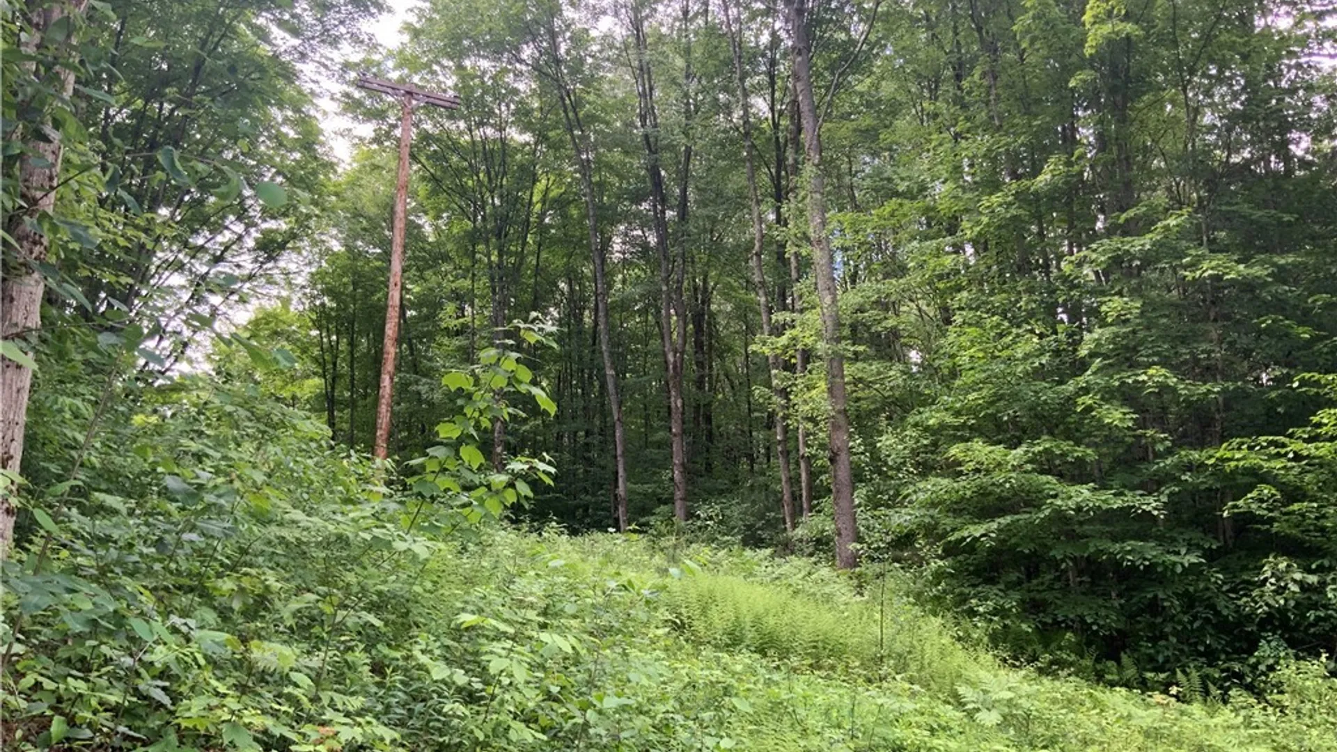 Property at 00 Hillsboro Road, Camden, NY 13316 27