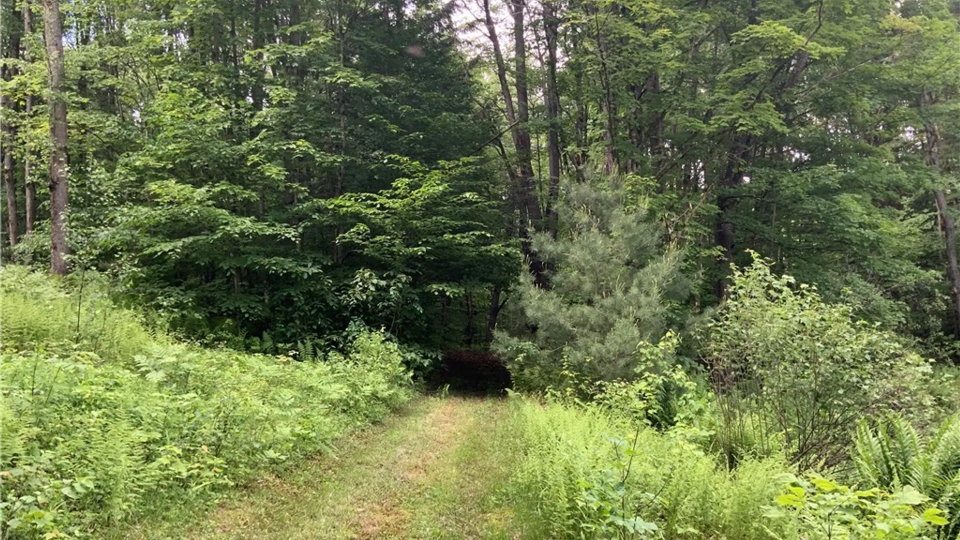 Property at 00 Hillsboro Road, Camden, NY 13316 28
