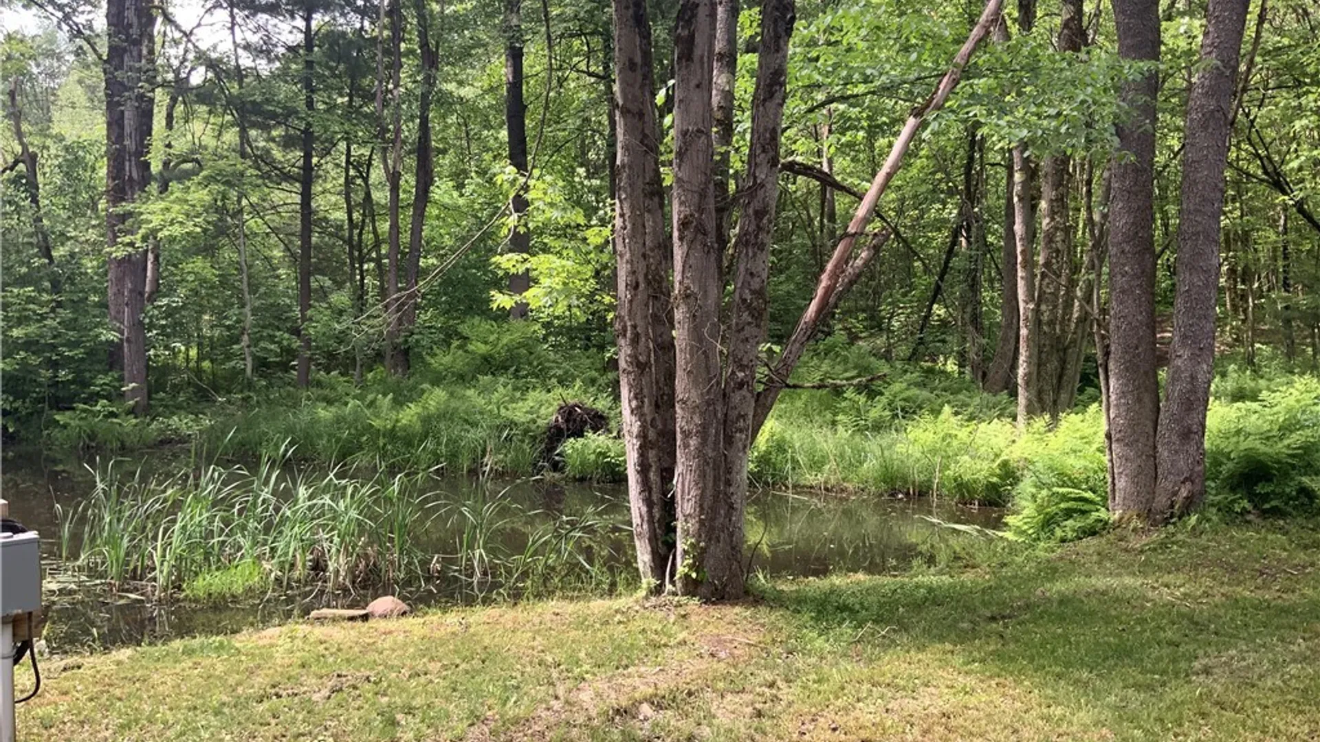 Property at 00 Hillsboro Road, Camden, NY 13316 7