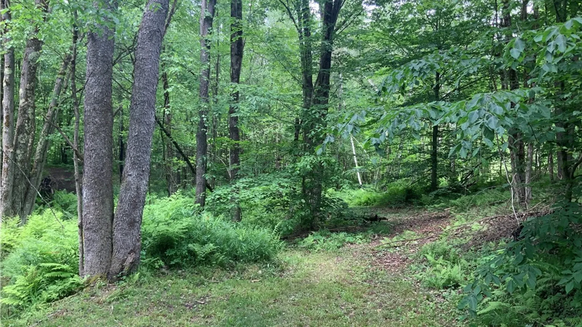 Property at 00 Hillsboro Road, Camden, NY 13316 8