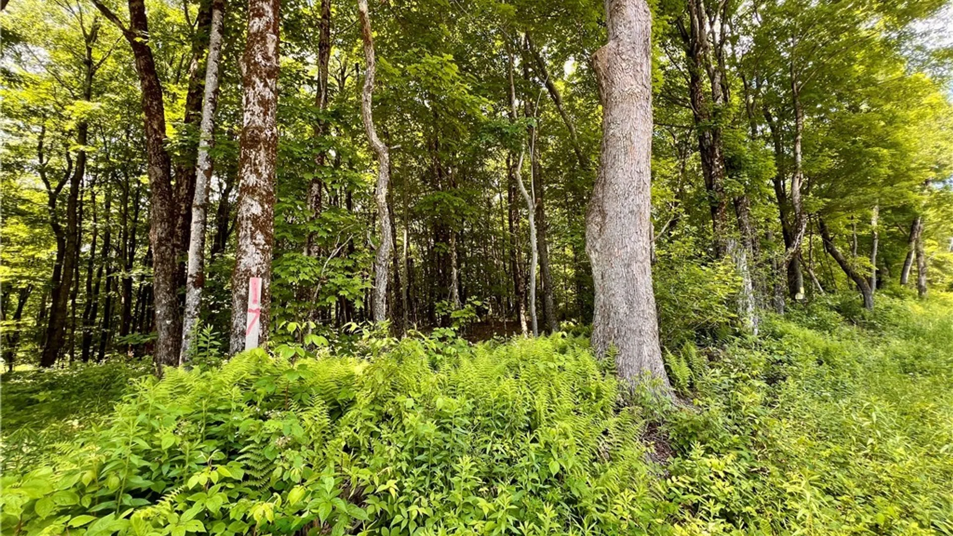 Property at 17 Cassio Road, Redfield, NY 13493 2