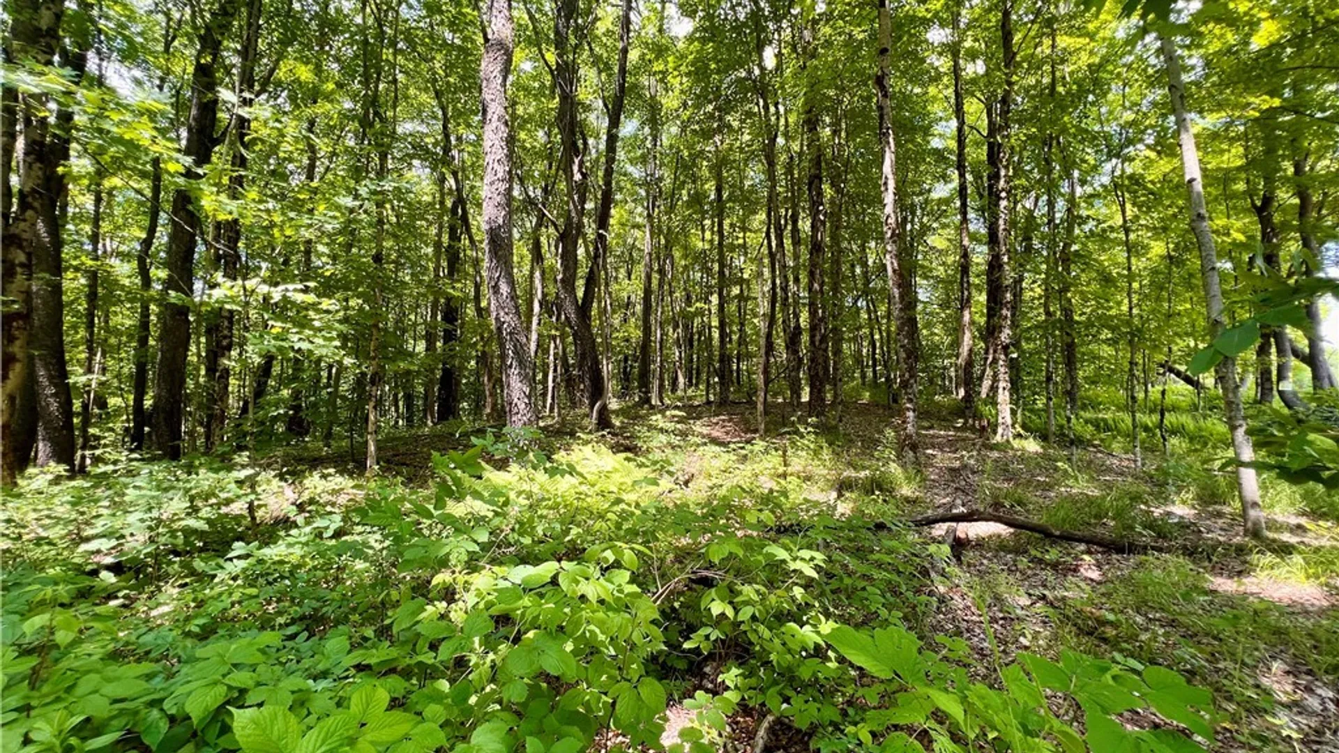 Property at 17 Cassio Road, Redfield, NY 13493 3