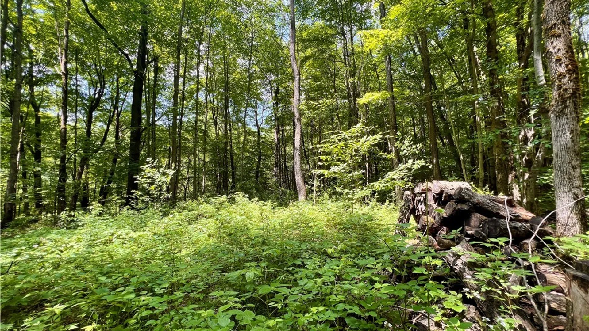 Property at 17 Cassio Road, Redfield, NY 13493 5