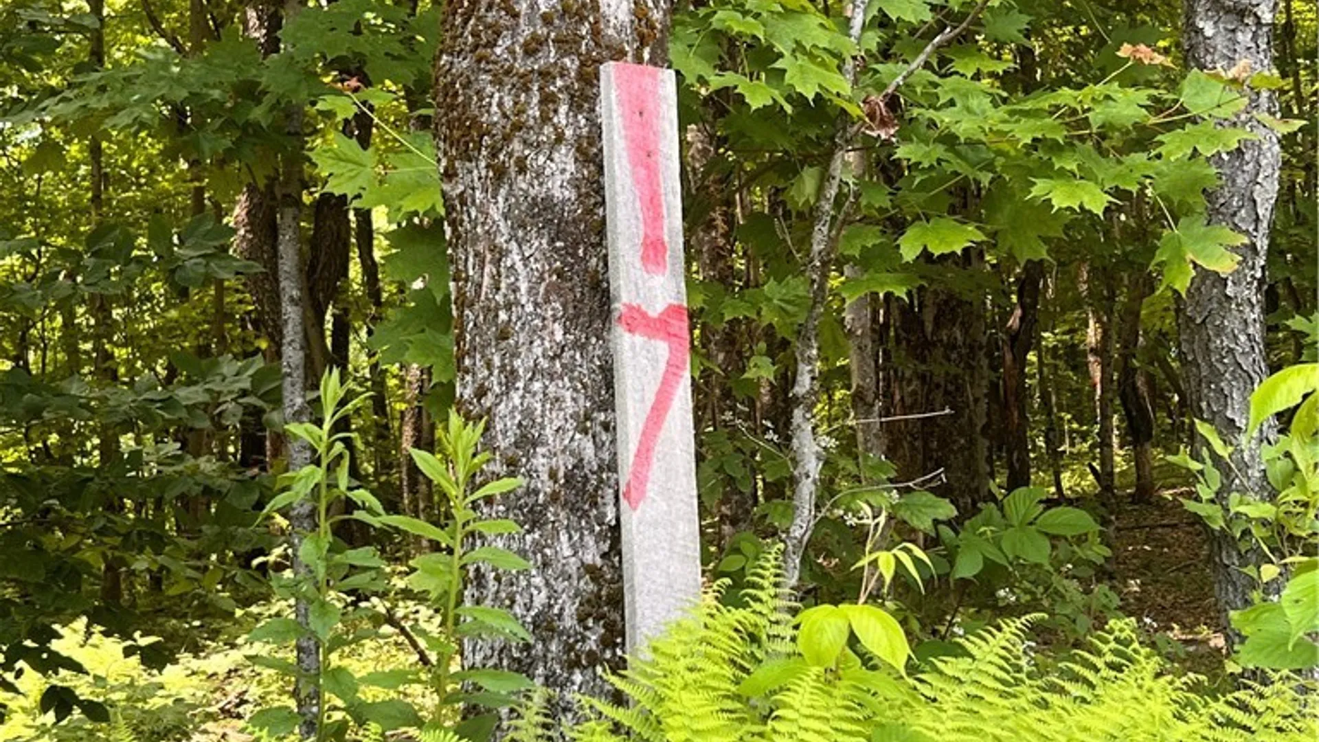 Property at 17 Cassio Road, Redfield, NY 13493 7