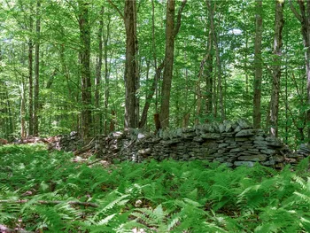 Property at 0 Alpine Drive, Bovina, NY 13740