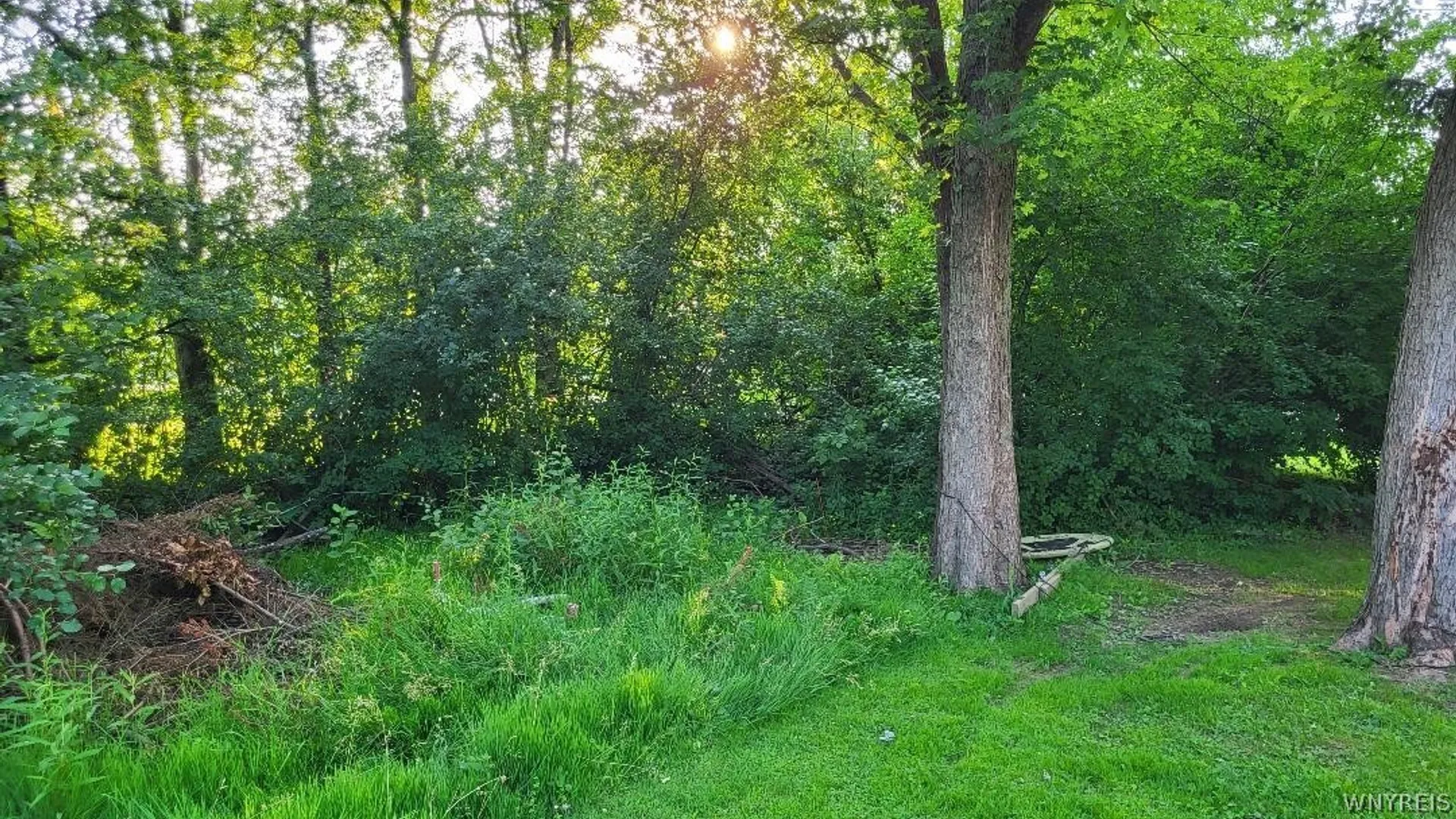 Property at 3209 Durham Road, Hamburg, NY 14075 2