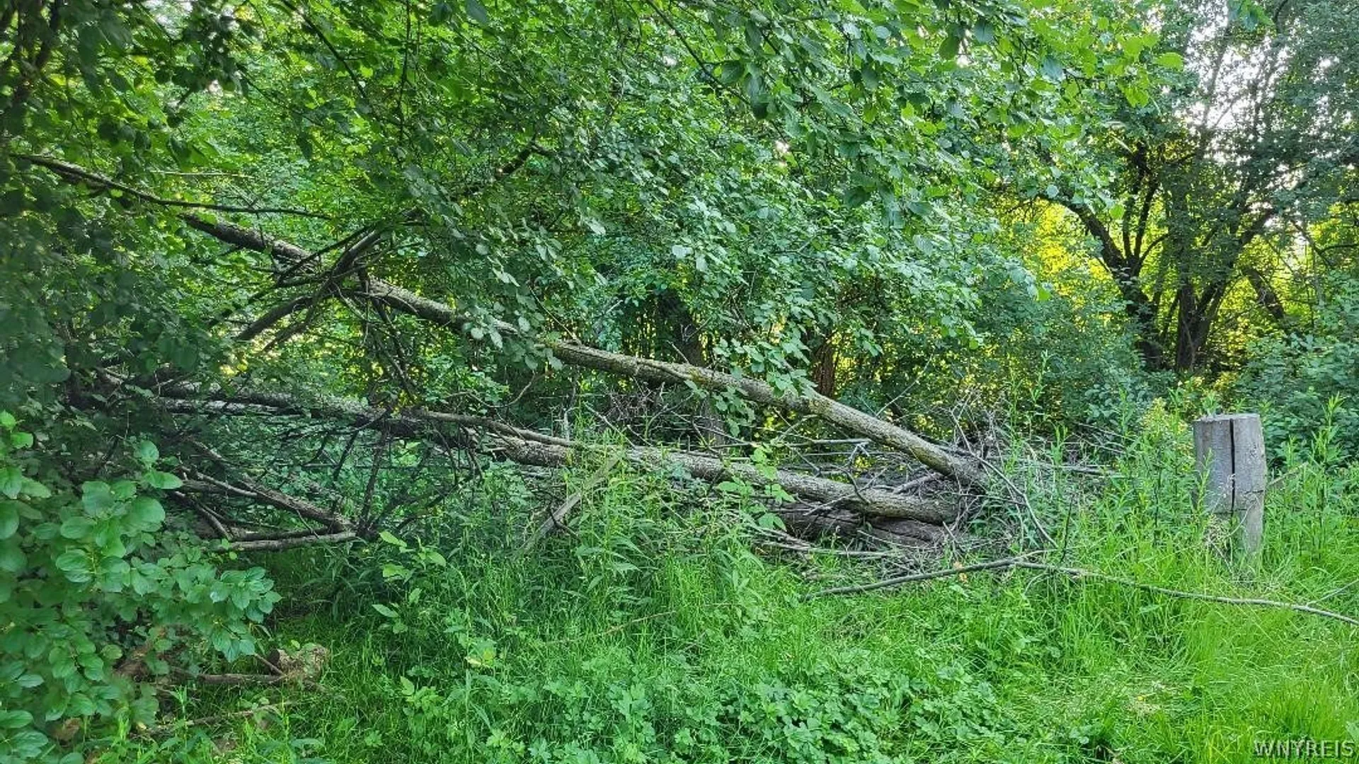 Property at 3209 Durham Road, Hamburg, NY 14075 4