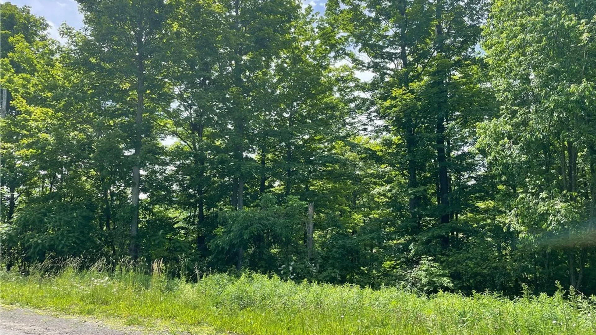 Property at 2002 Amalia Drive, Virgil, NY 13045 2