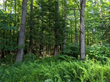 Property at 00 Number Four Road, Watson, NY 13367