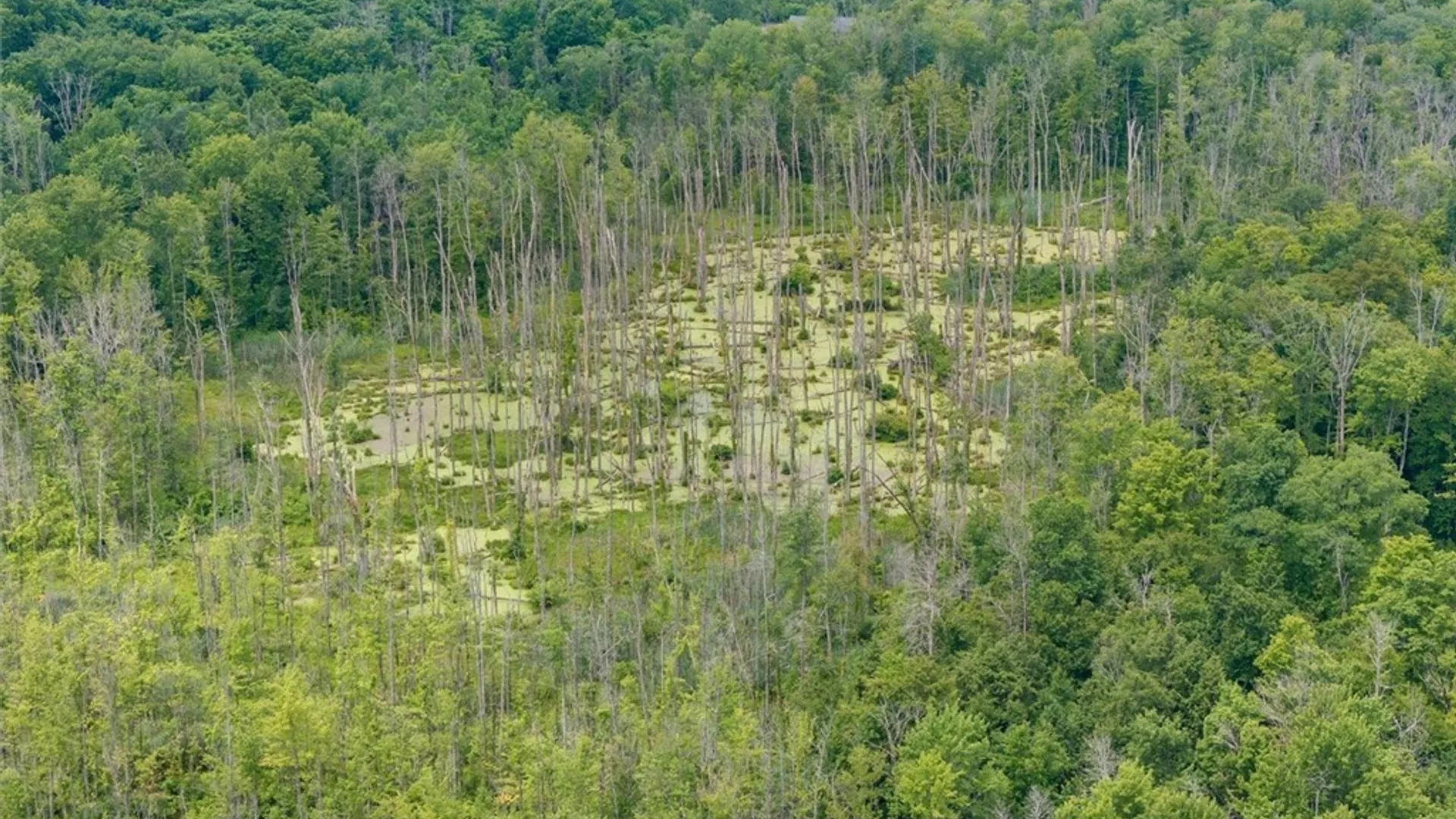 Property at 000 Route 31, Sullivan, NY 13032 17