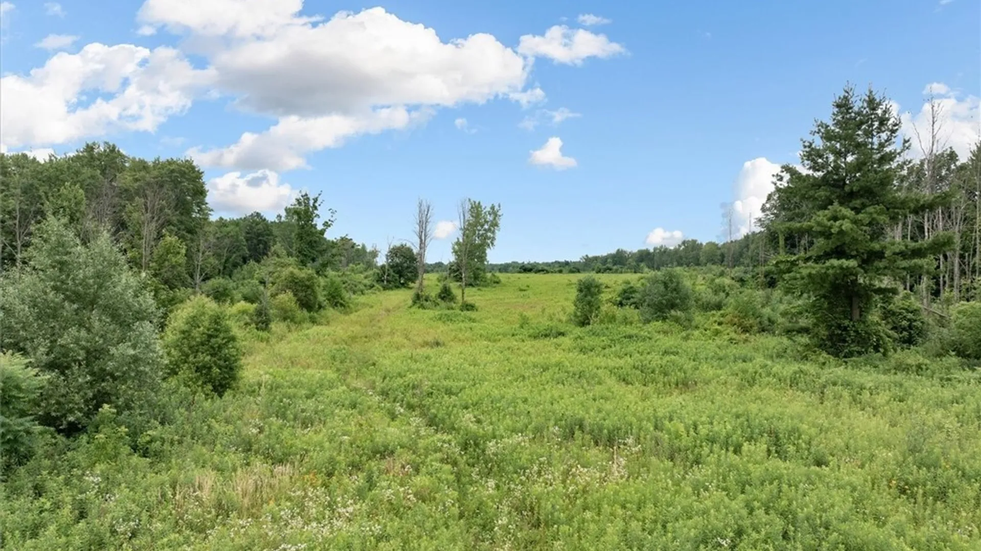 Property at 000 Route 31, Sullivan, NY 13032 5