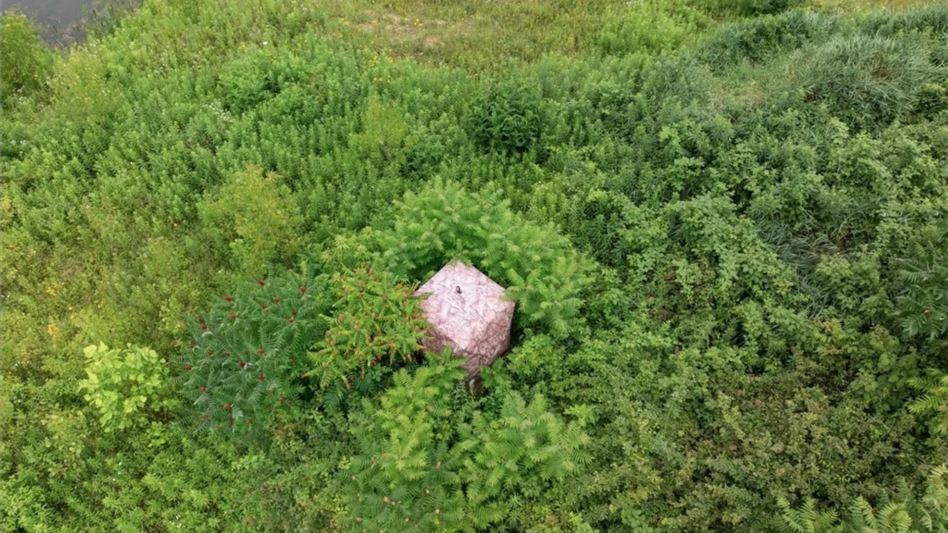 Property at 000 Route 31, Sullivan, NY 13032 6