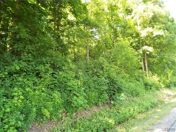 Property at 0 Co Rte 11, Clayton, NY 13624