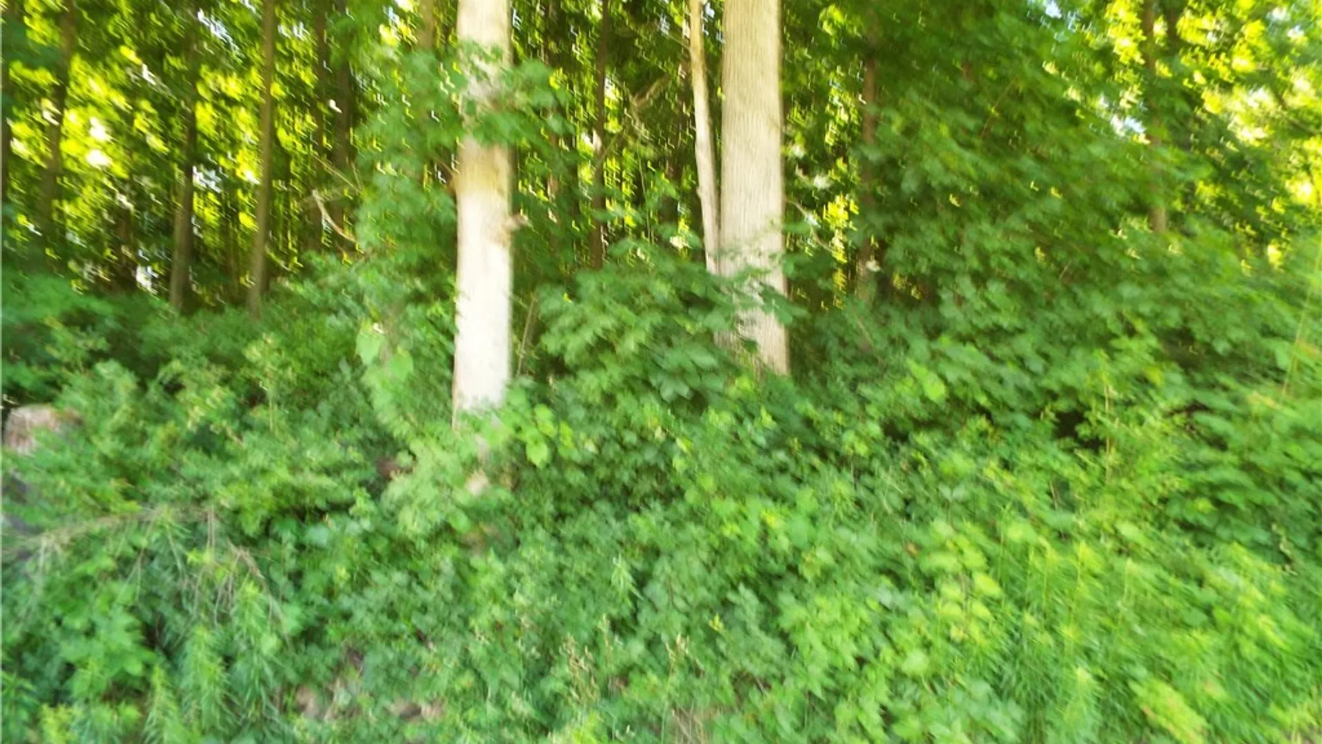 Property at 0 Co Rte 11, Clayton, NY 13624 2