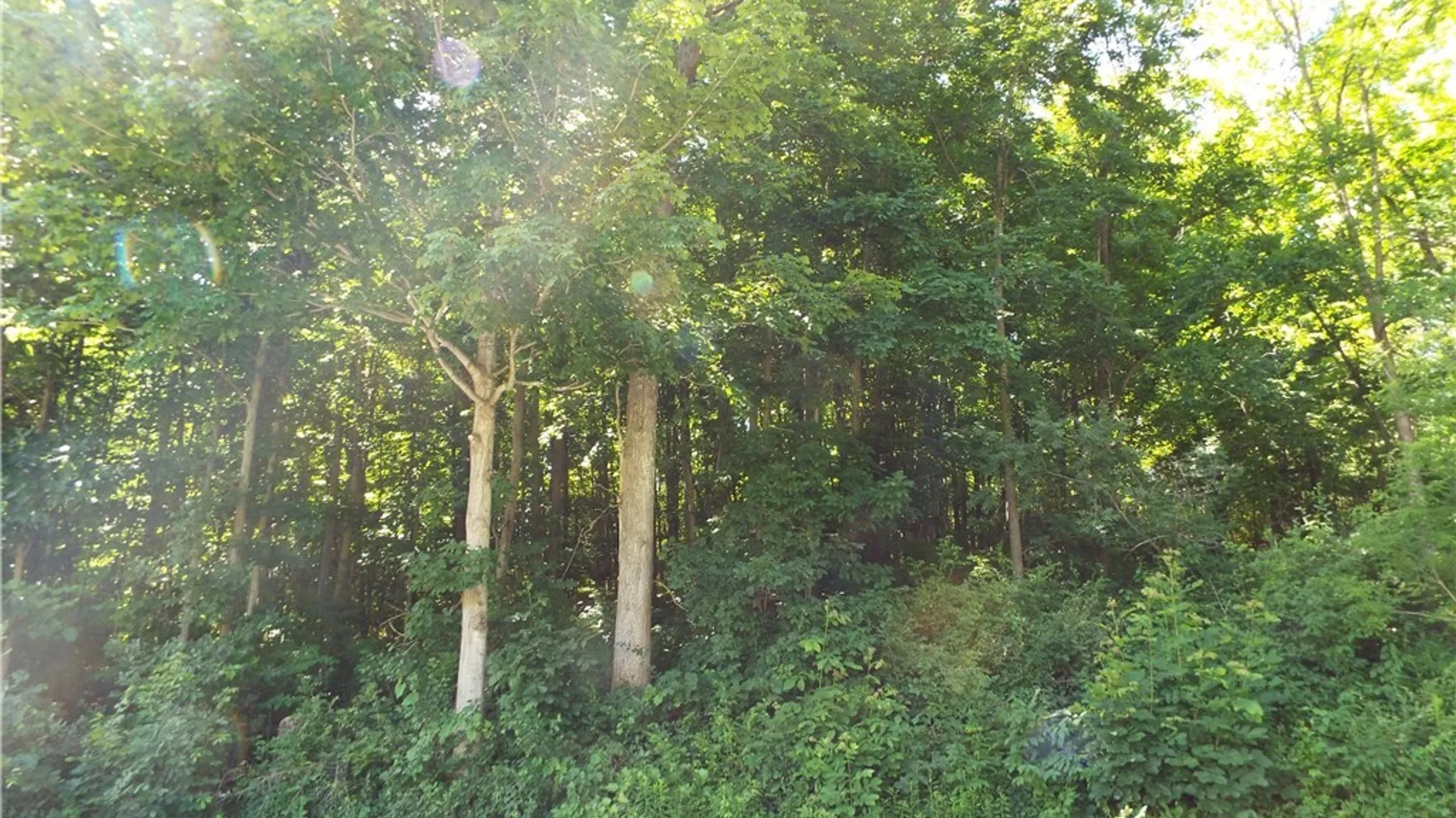 Property at 0 Co Rte 11, Clayton, NY 13624 4